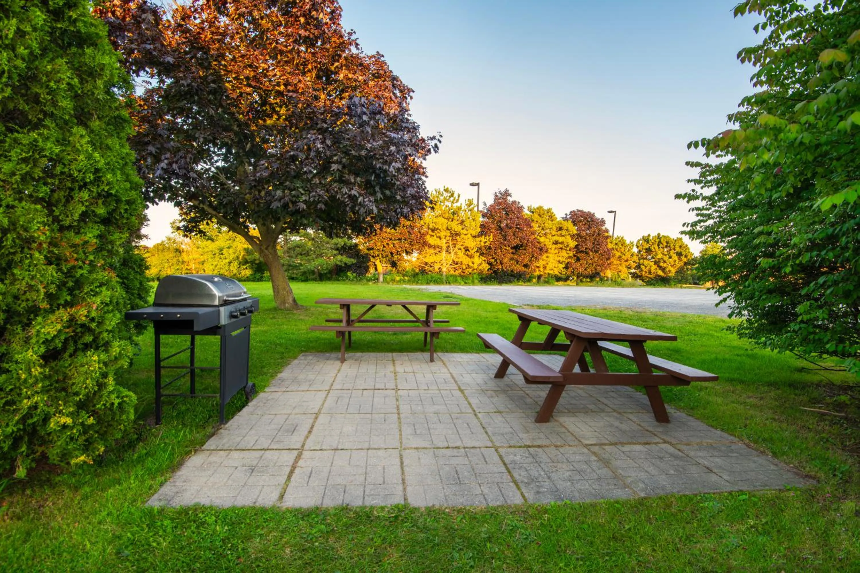BBQ facilities in Comfort Inn Hwy 401