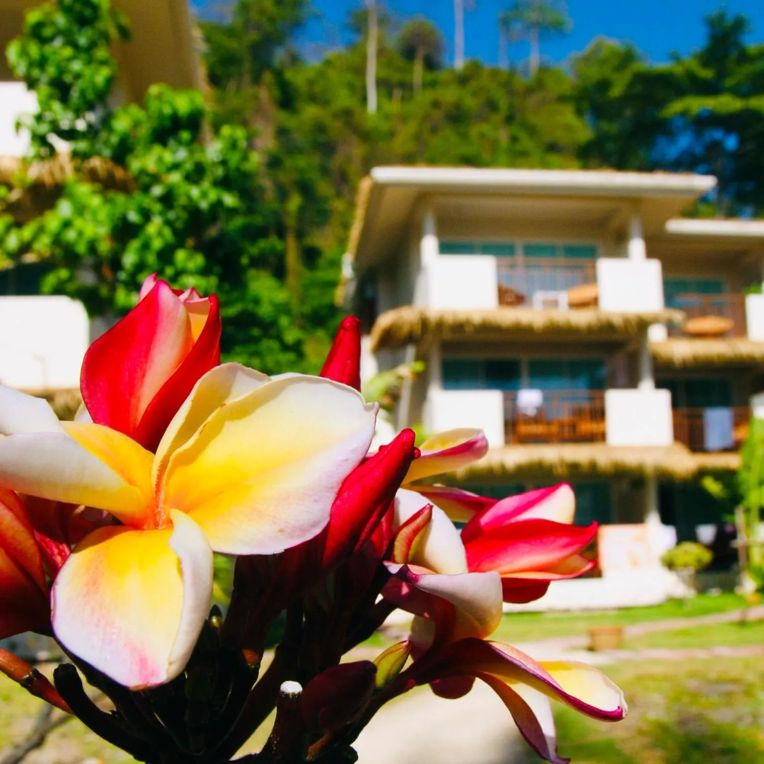 Property building in Mama Beach Residence - Adults Only