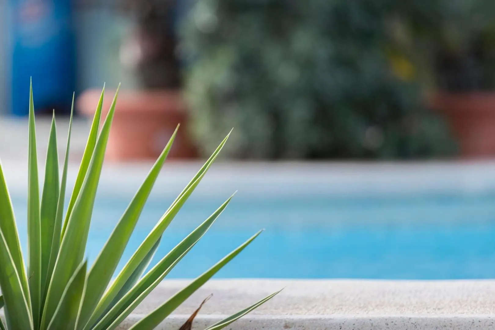 Swimming pool in EUROCLUB Hotel