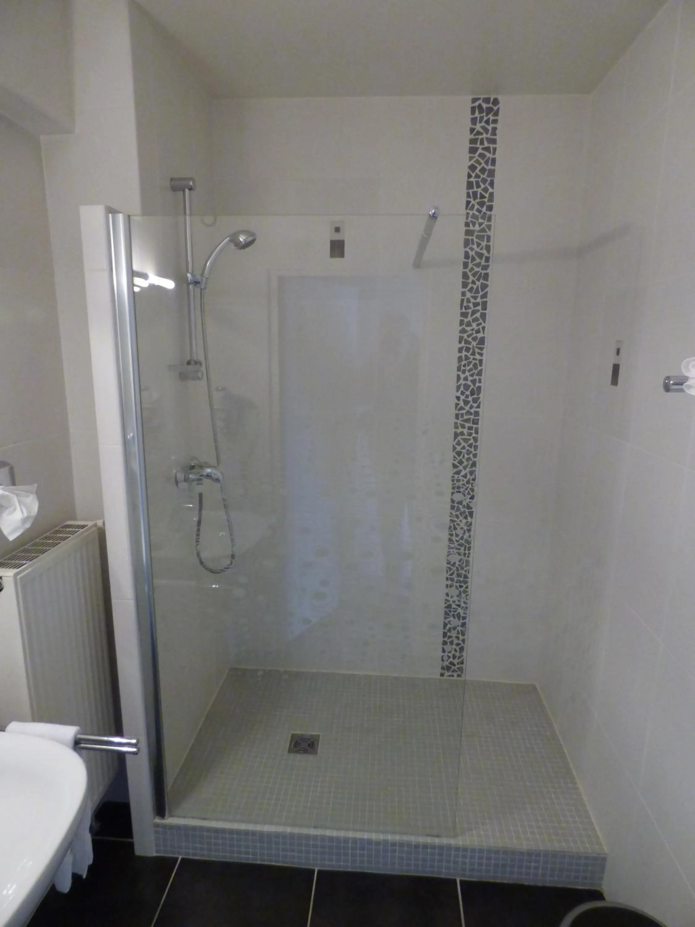 Shower in Hotel ASTORIA- Saint Etienne-Centre des Congrès-