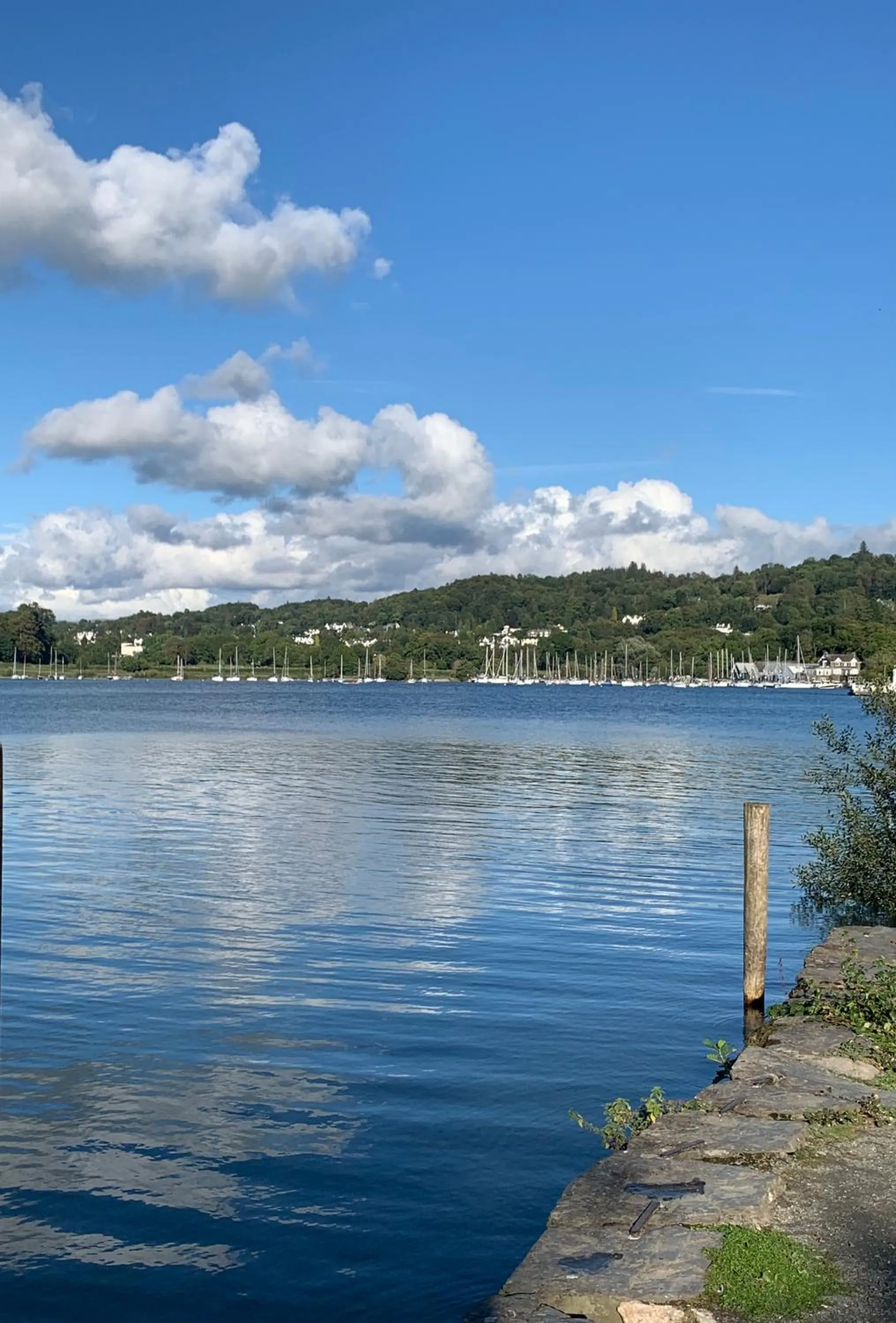 Natural landscape in Hillsdale B&B in Ambleside
