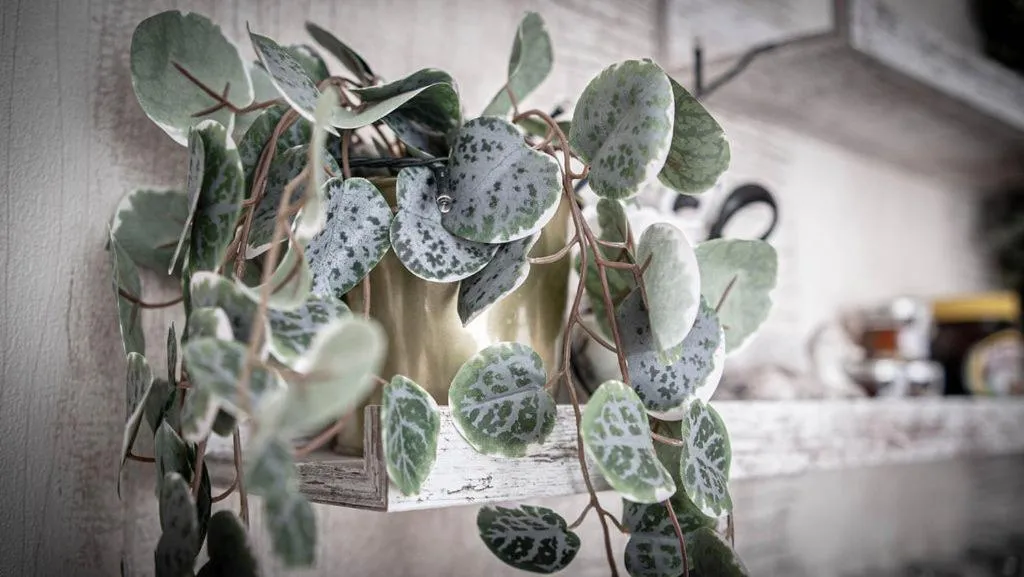 Decorative detail in Hillsdale B&B in Ambleside