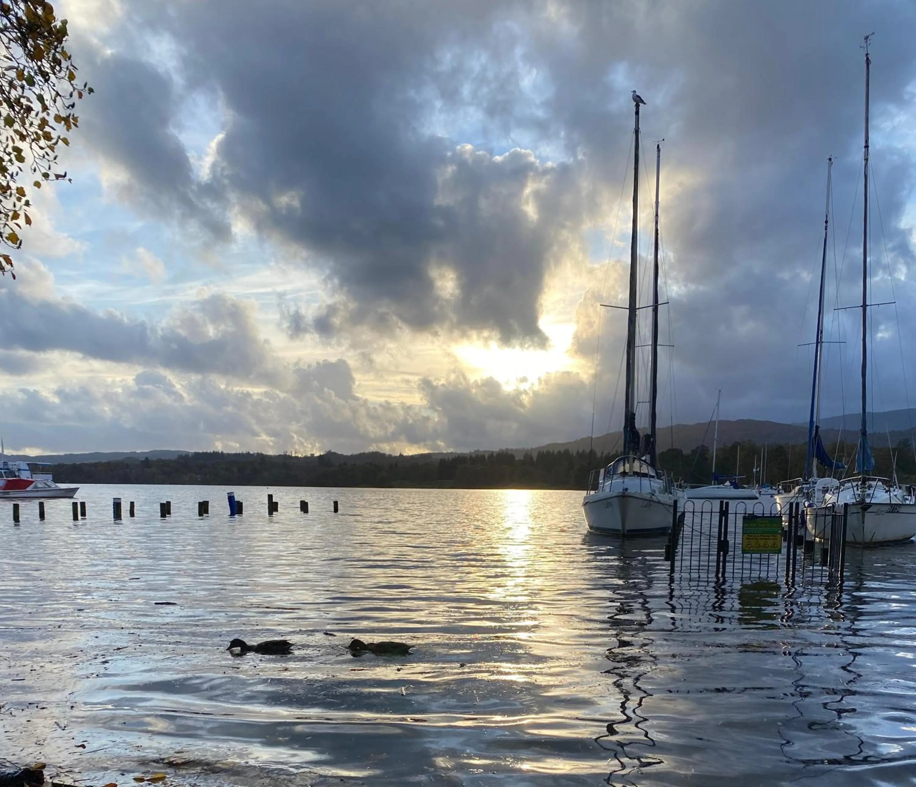 Natural landscape in Hillsdale B&B in Ambleside