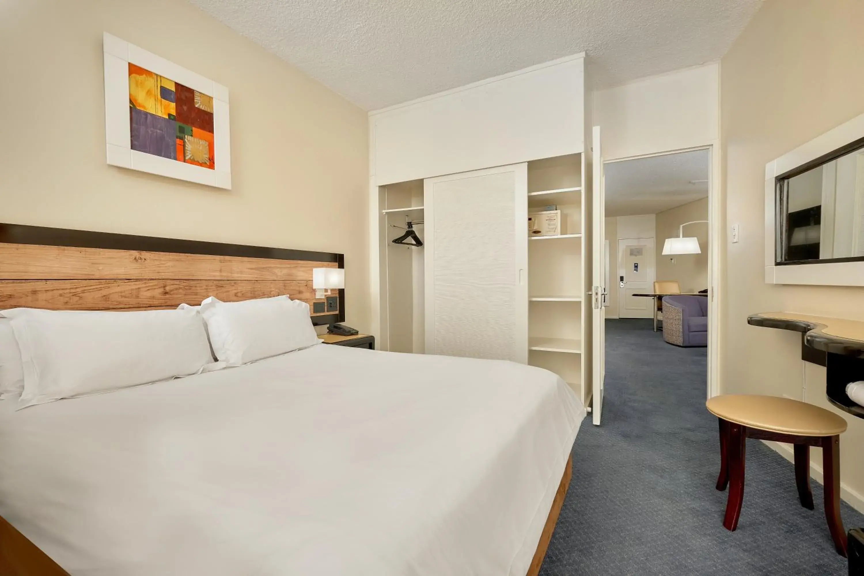 Deluxe Suite - single occupancy in The Parktonian All Suite Hotel Deluxe Suite - single occupancy in The Parktonian All Suite Hotel