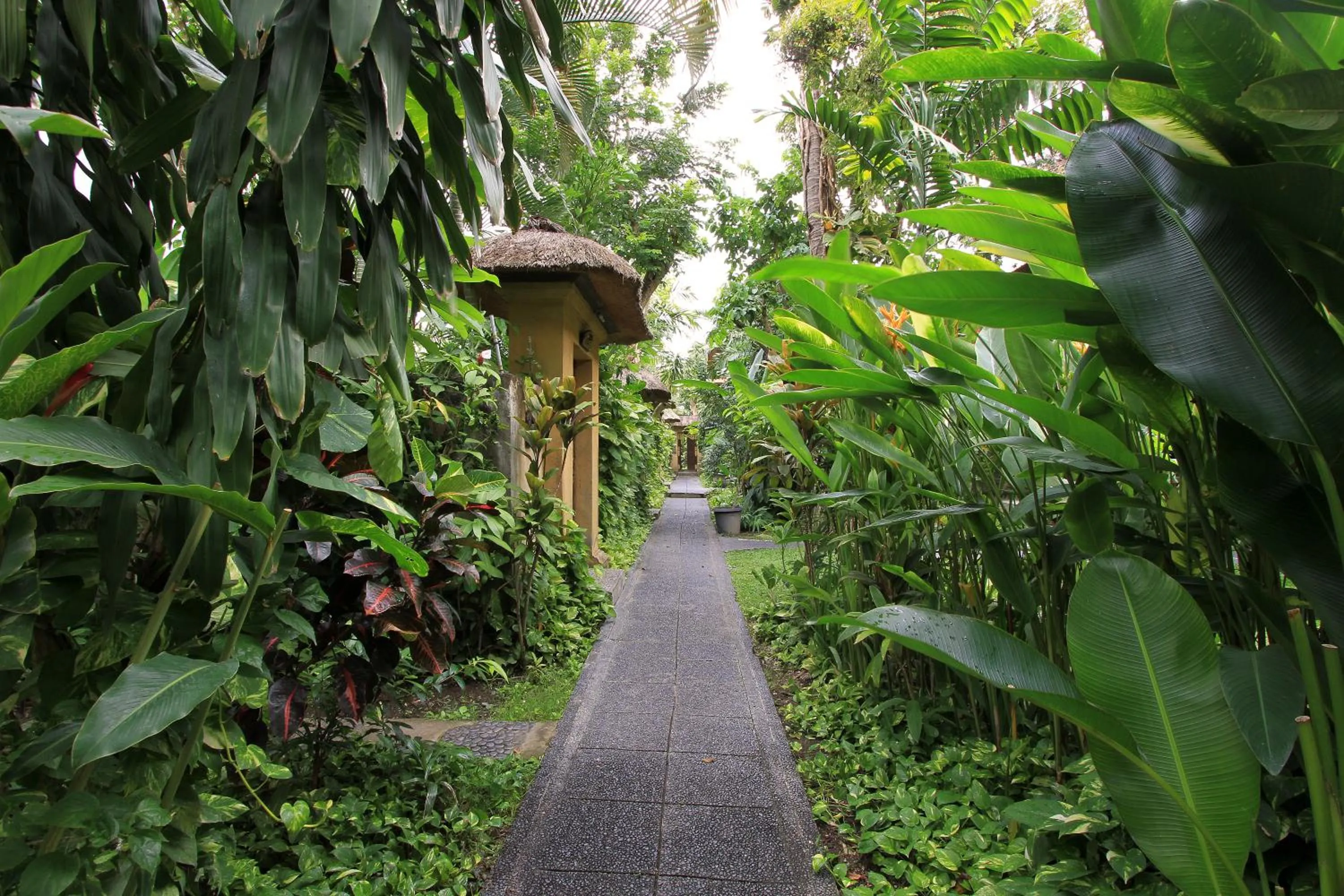Garden in The Taman Ayu