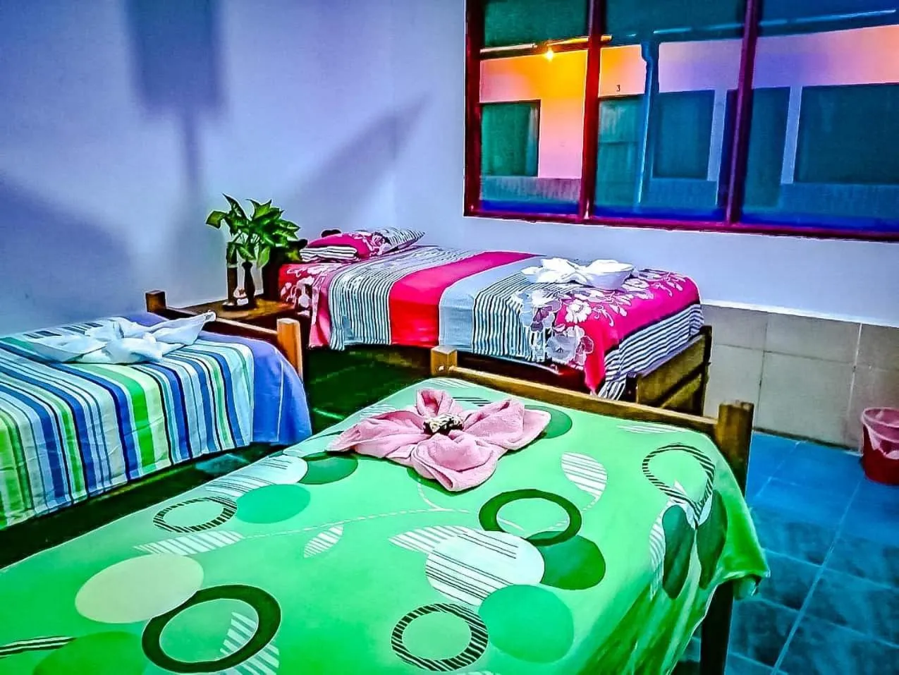 Bed in El Curichal Hostel