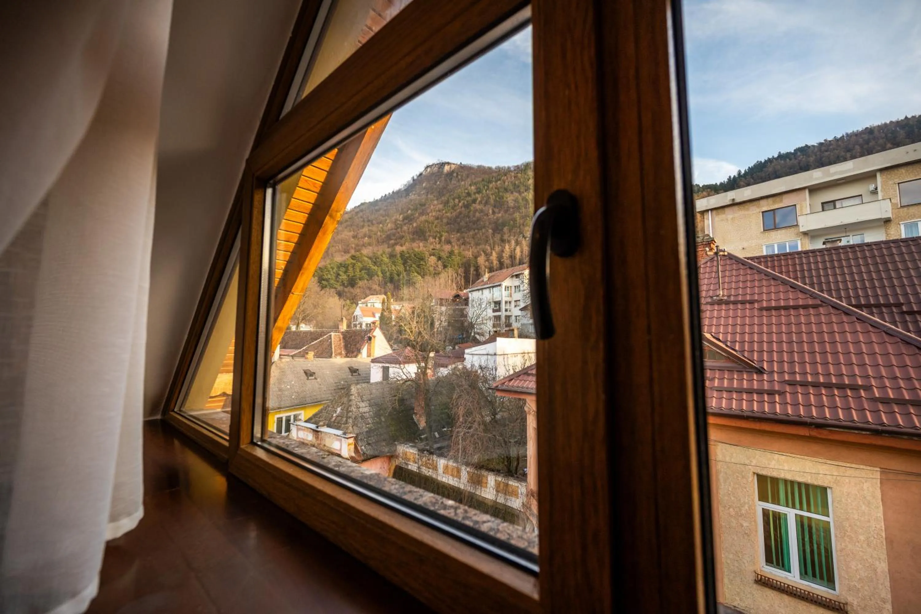 Natural landscape in Pension Brasovu Vechi