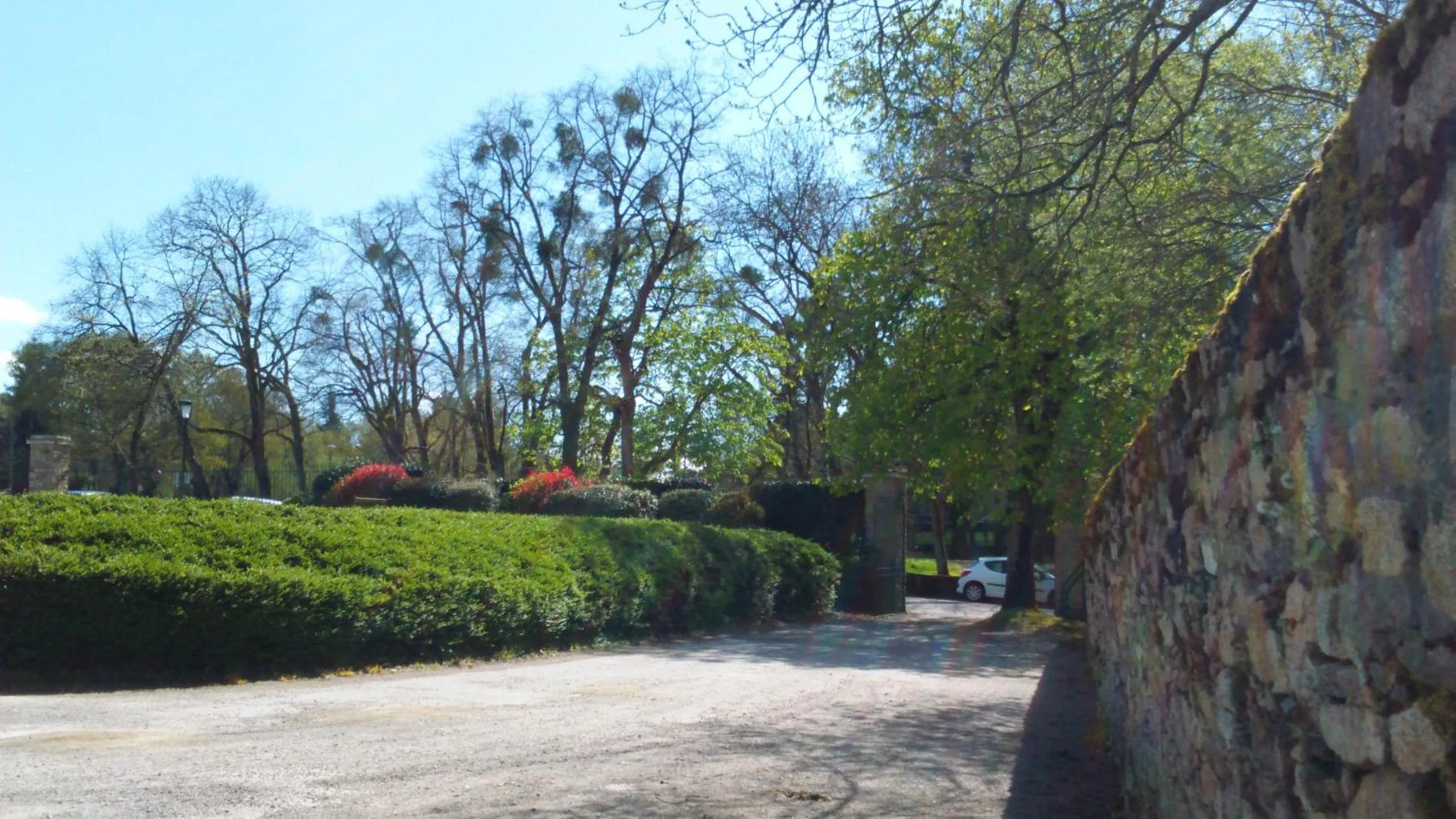 Garden in Hôtel de la Marine