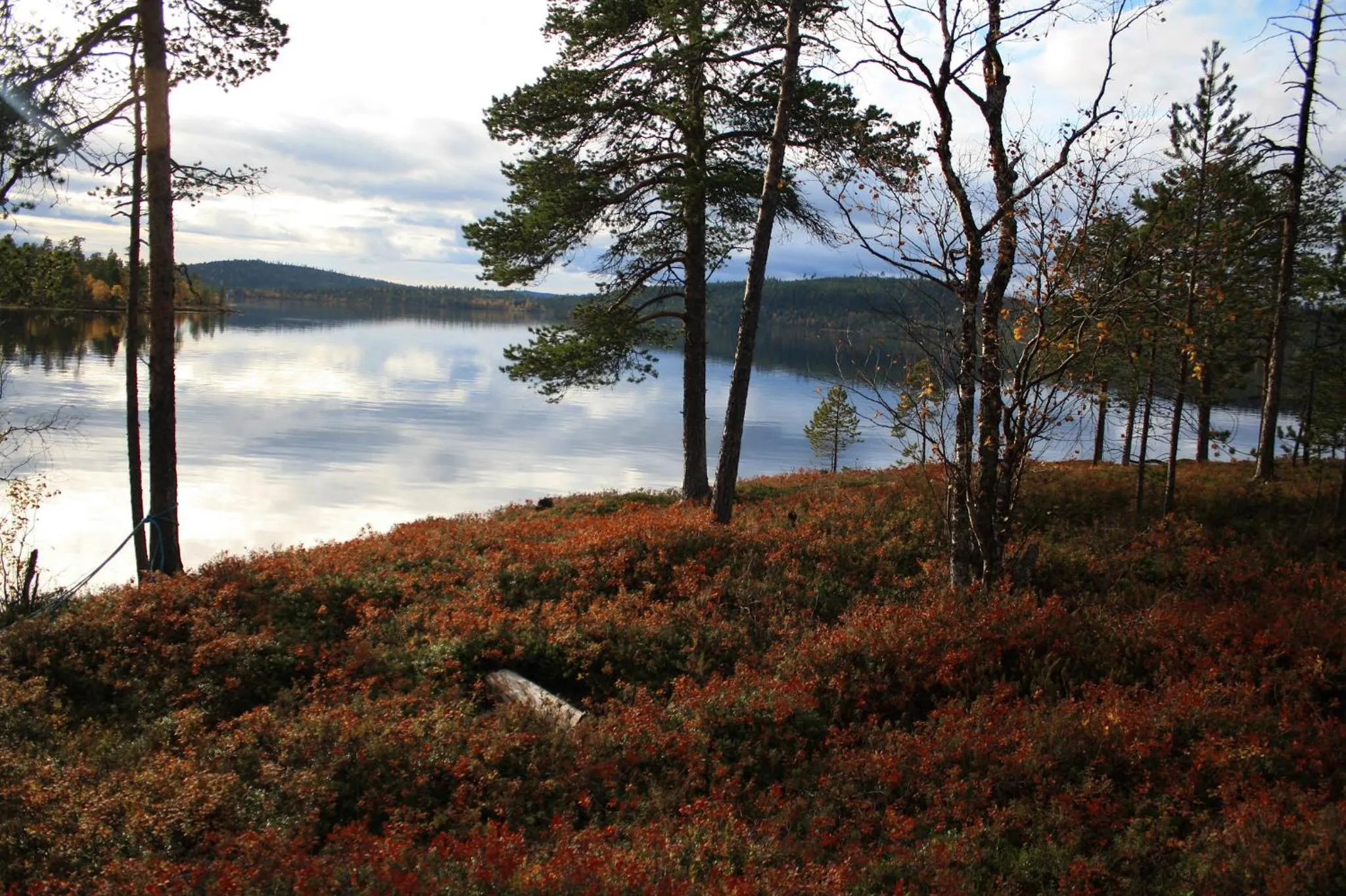 Natural landscape in Hotel Inari