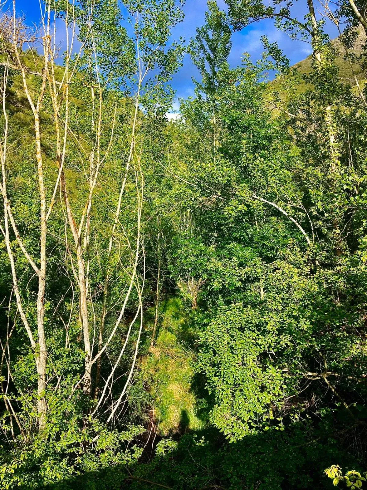 Las Huellas de Cameros