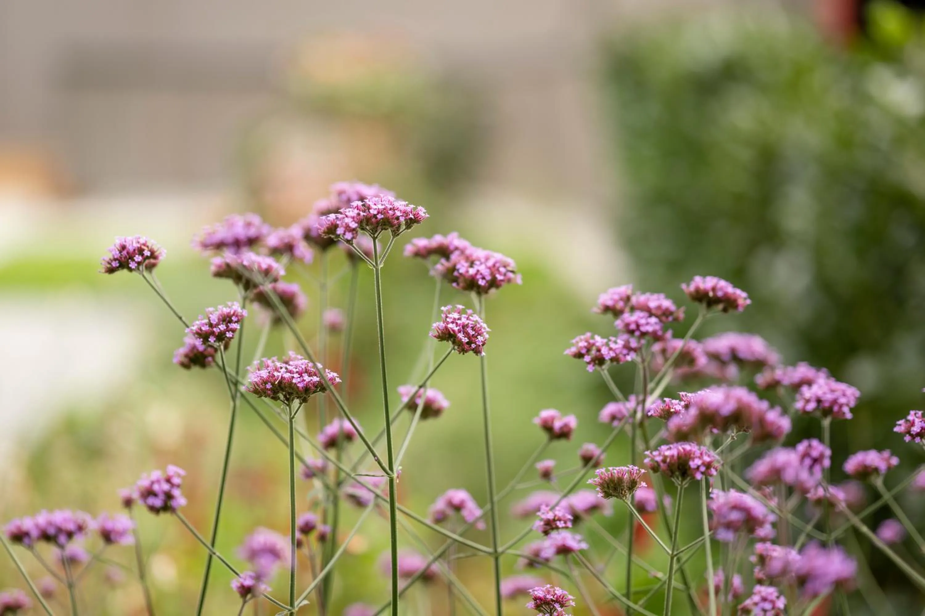 Natural landscape in NEUWIRT - Boutiquehotel & Wirtshaus