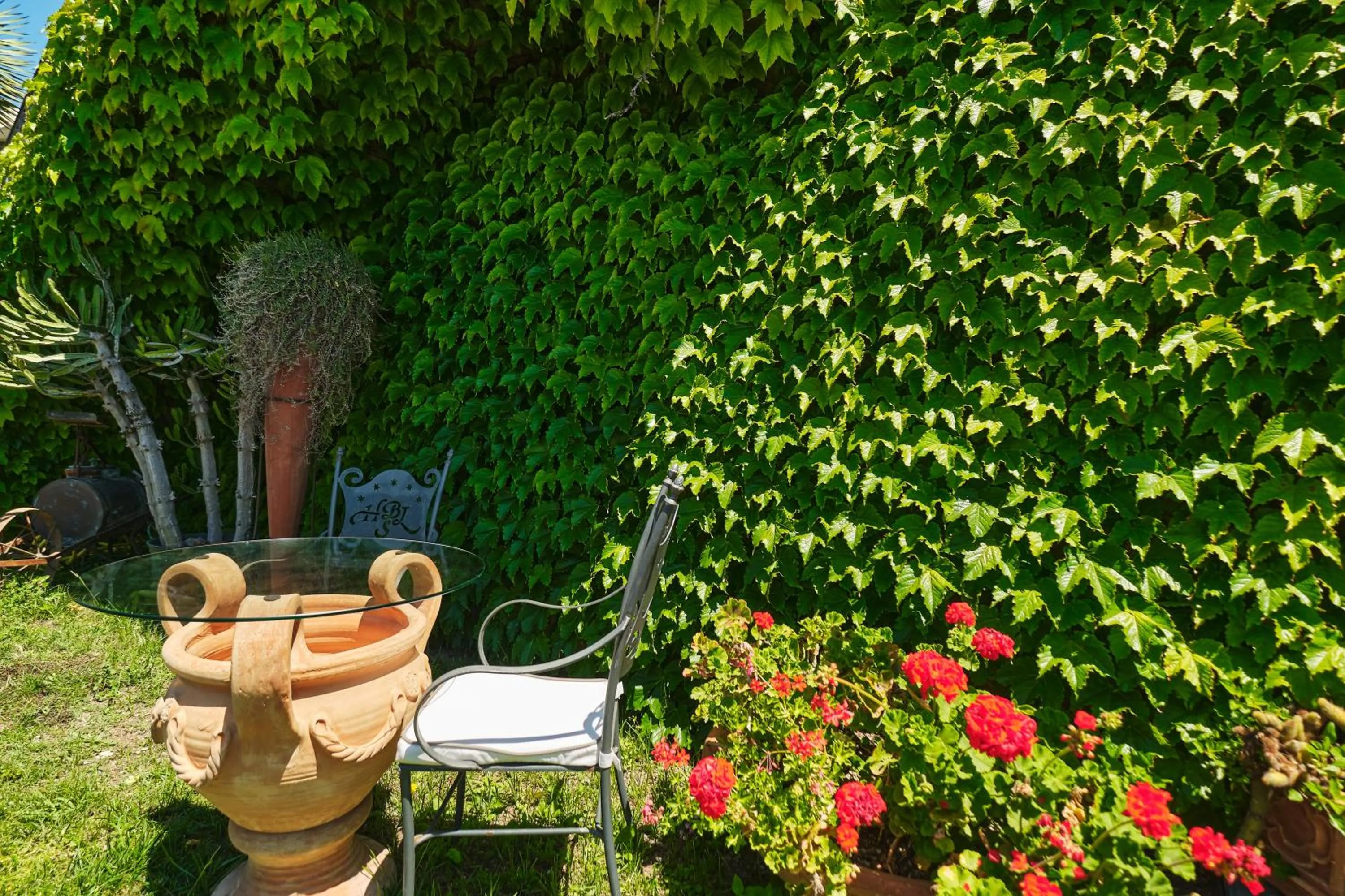 Garden in Hotel Botanico San Lazzaro