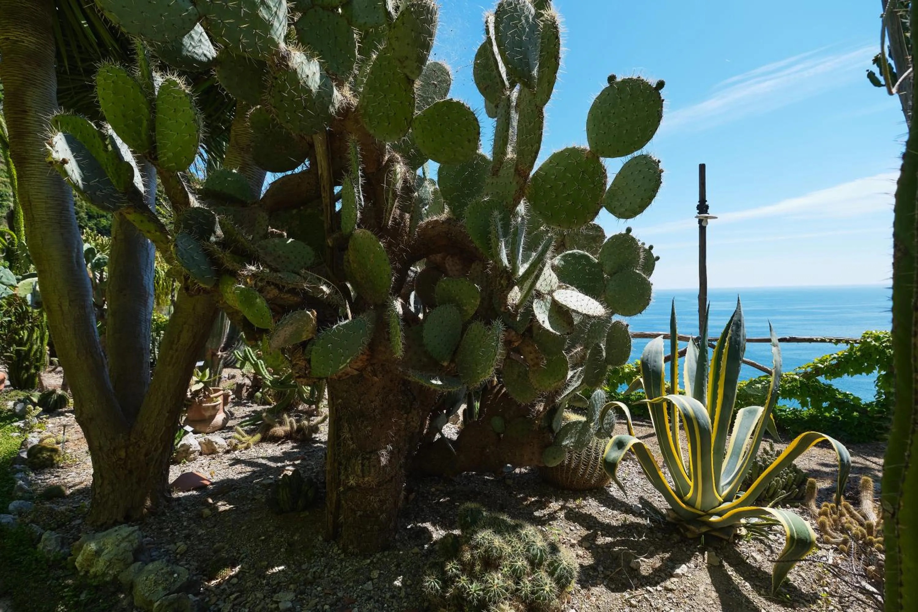Garden in Hotel Botanico San Lazzaro