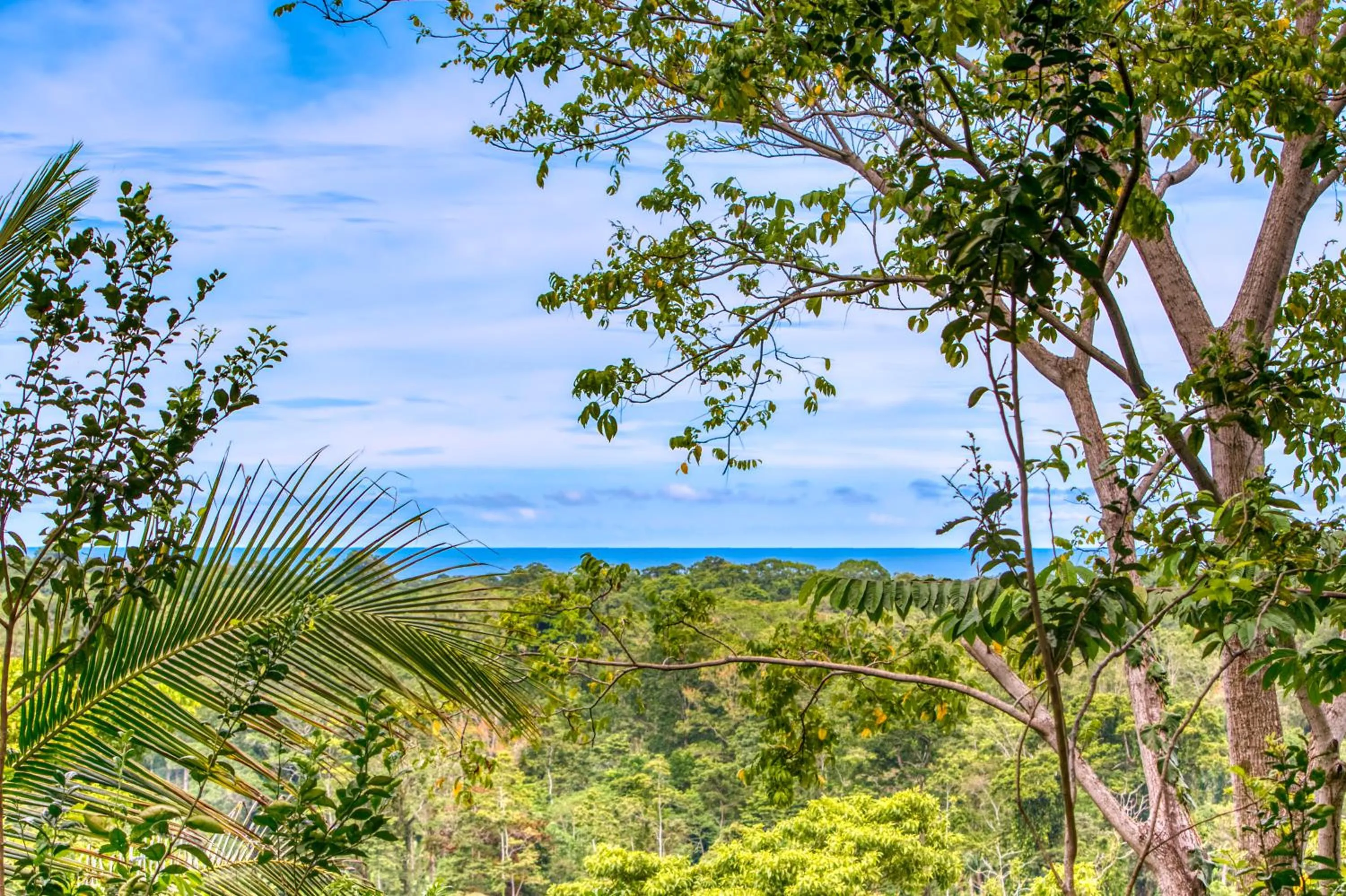 Natural landscape in Hotel Casa Conley Del Mar