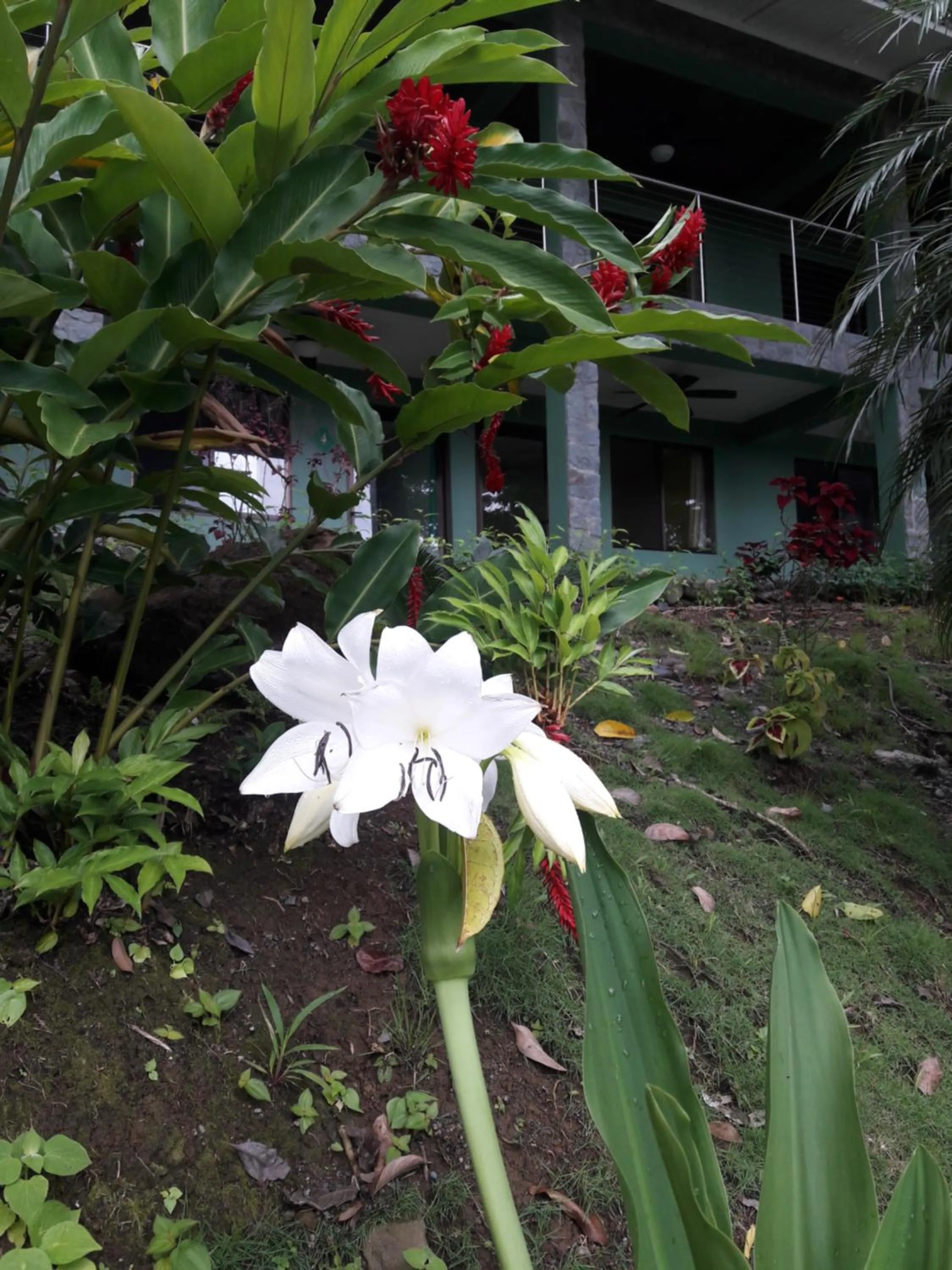 Hotel Casa Conley Del Mar