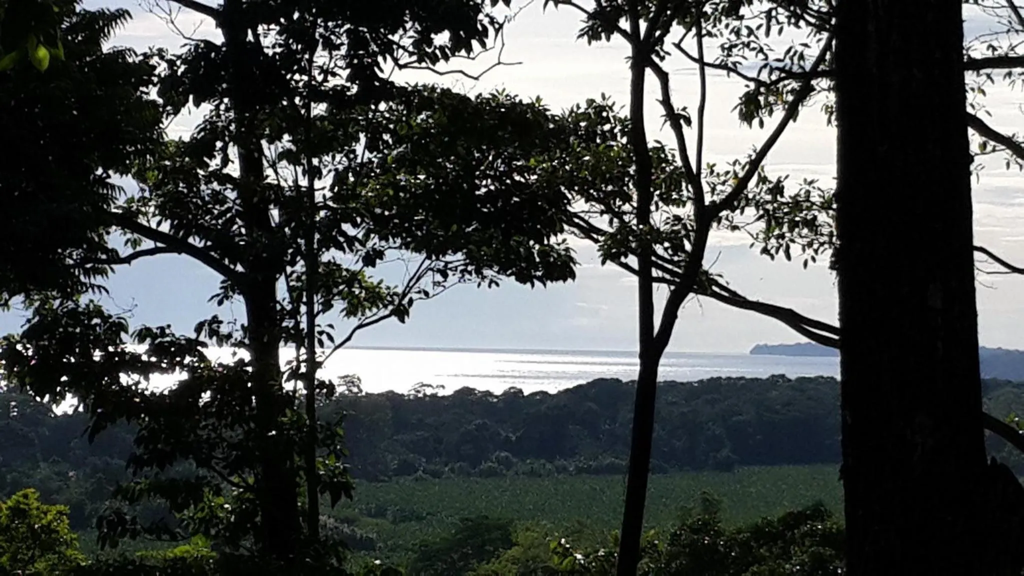 Balcony/Terrace in Hotel Casa Conley Del Mar