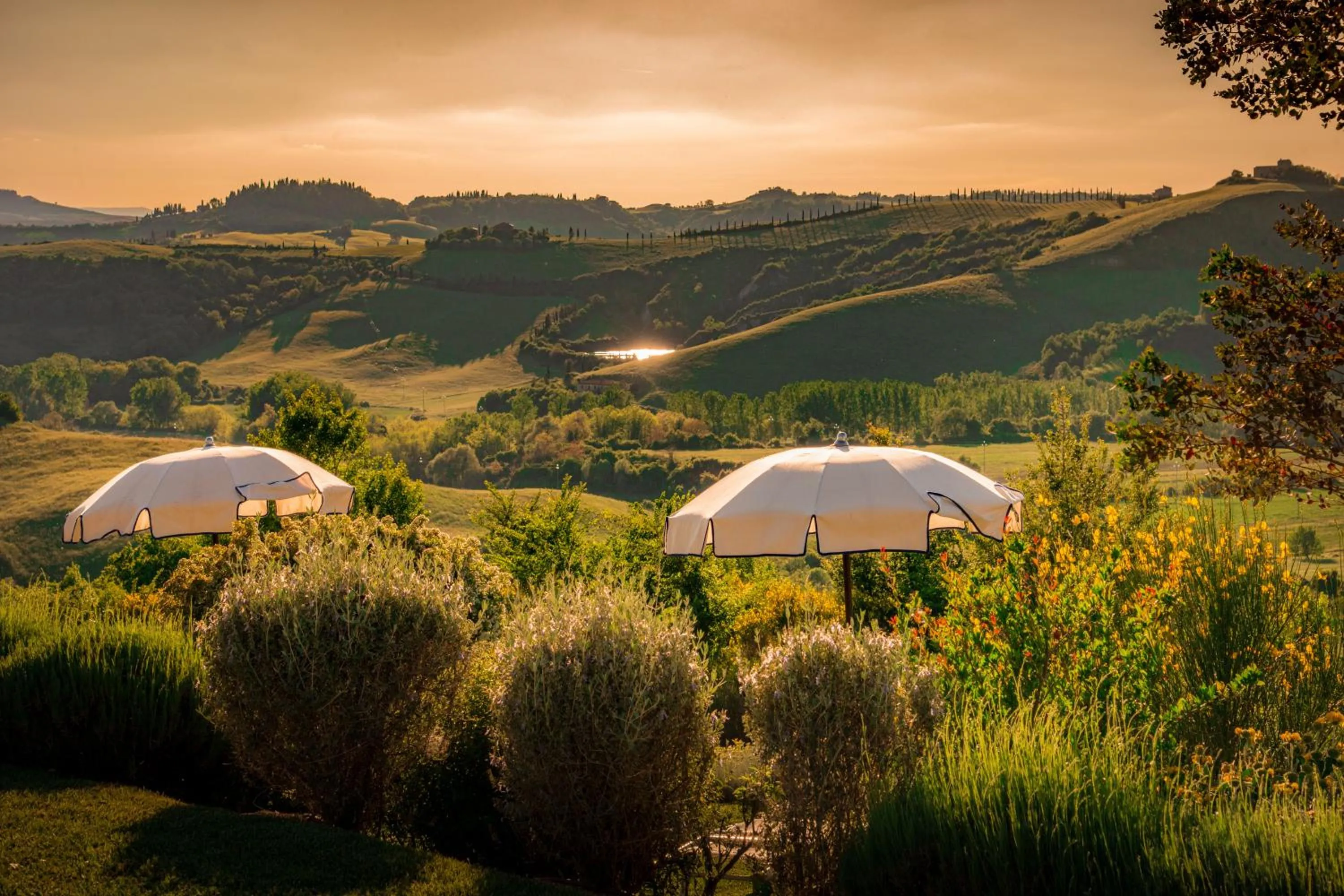 Day in San Giovanni Terme Rapolano