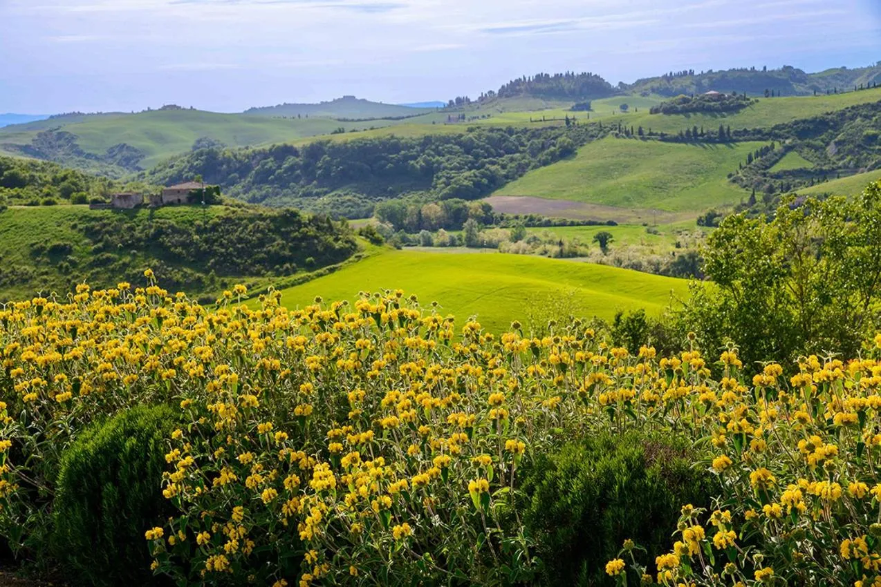 Summer in San Giovanni Terme Rapolano