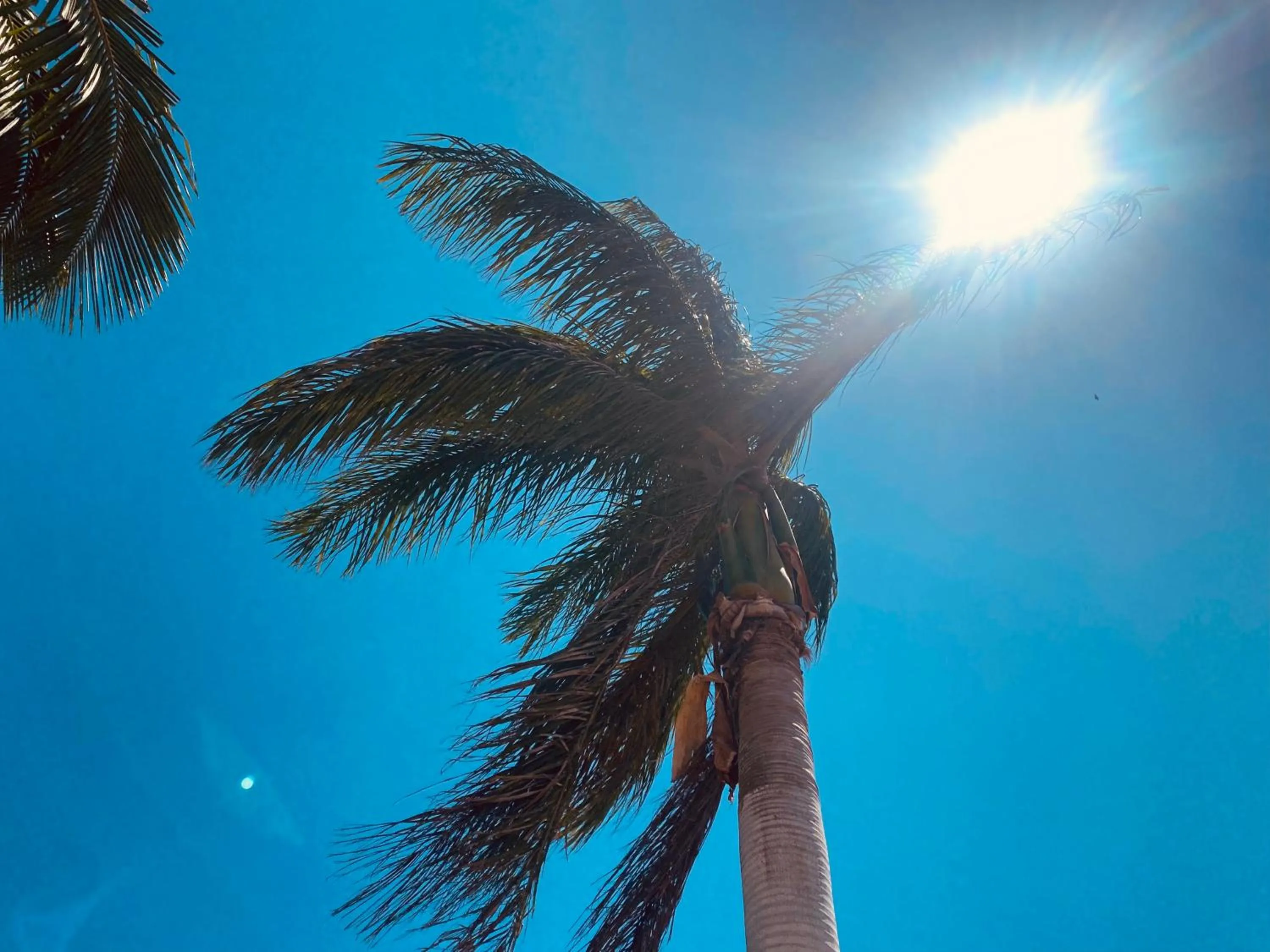 Patio in Villa Baobá Pousada & Spa