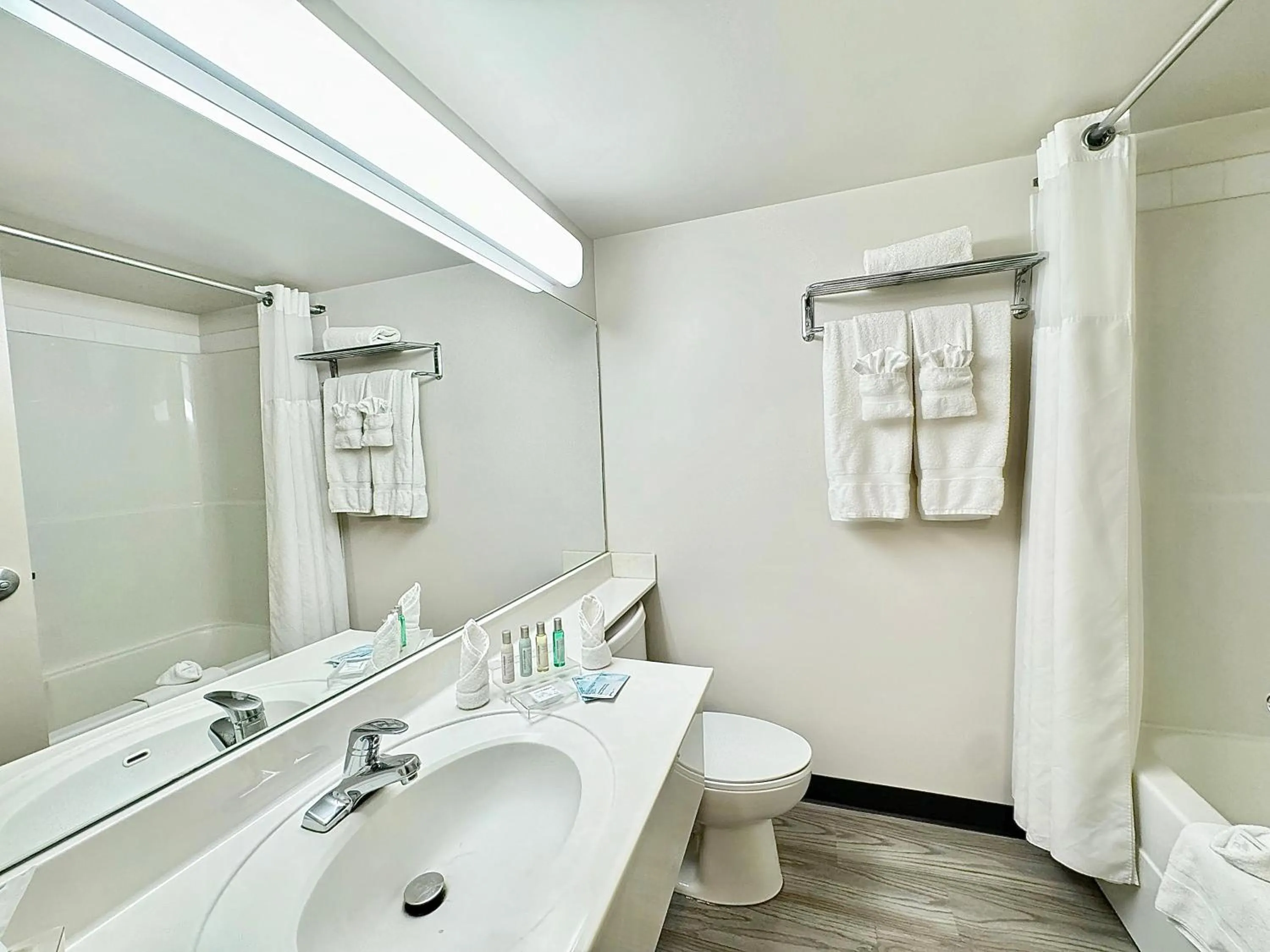 Shower in Divya Sutra Plaza and Conference Centre Calgary Airport