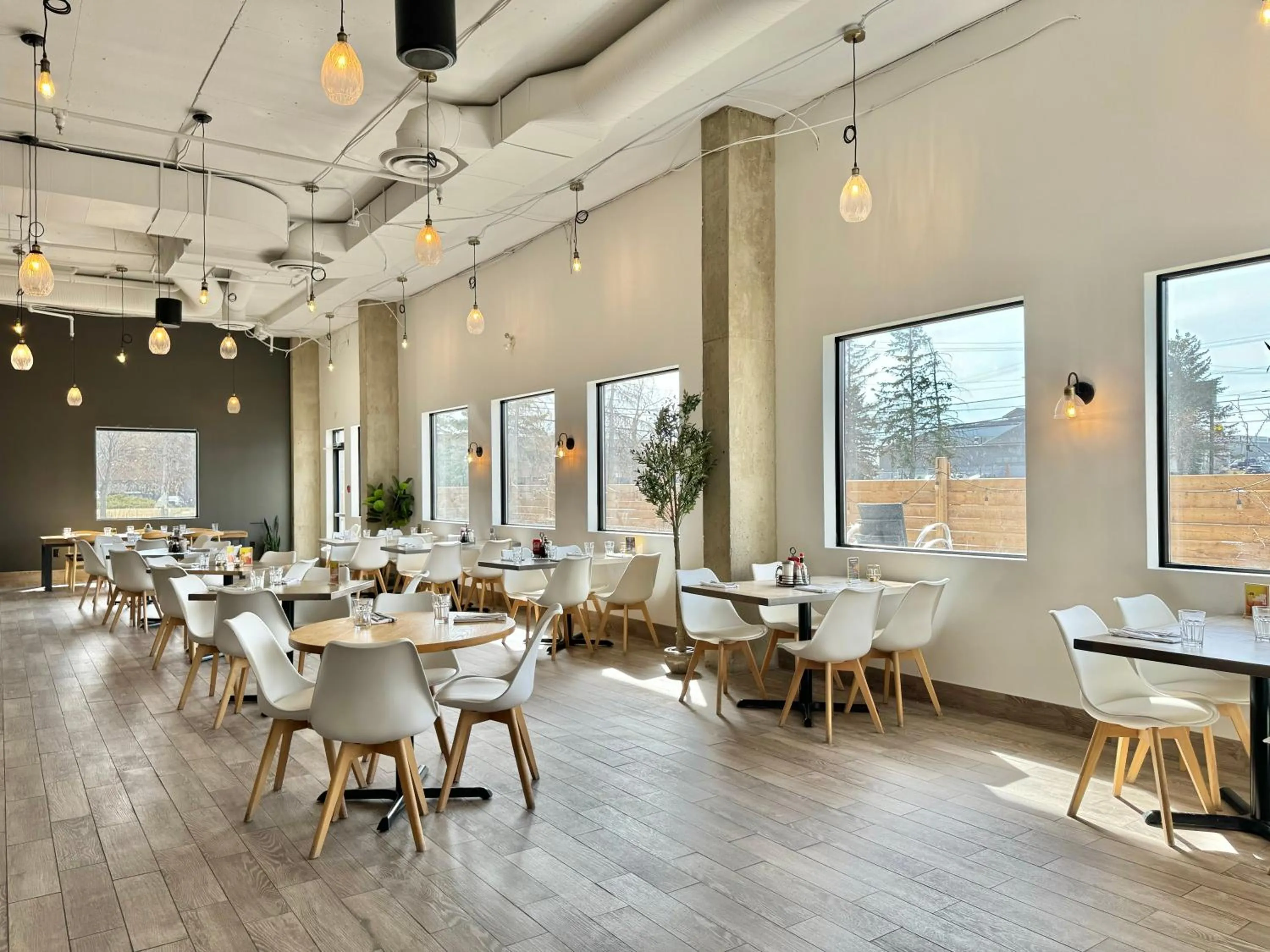 Restaurant/places to eat in Divya Sutra Plaza and Conference Centre Calgary Airport