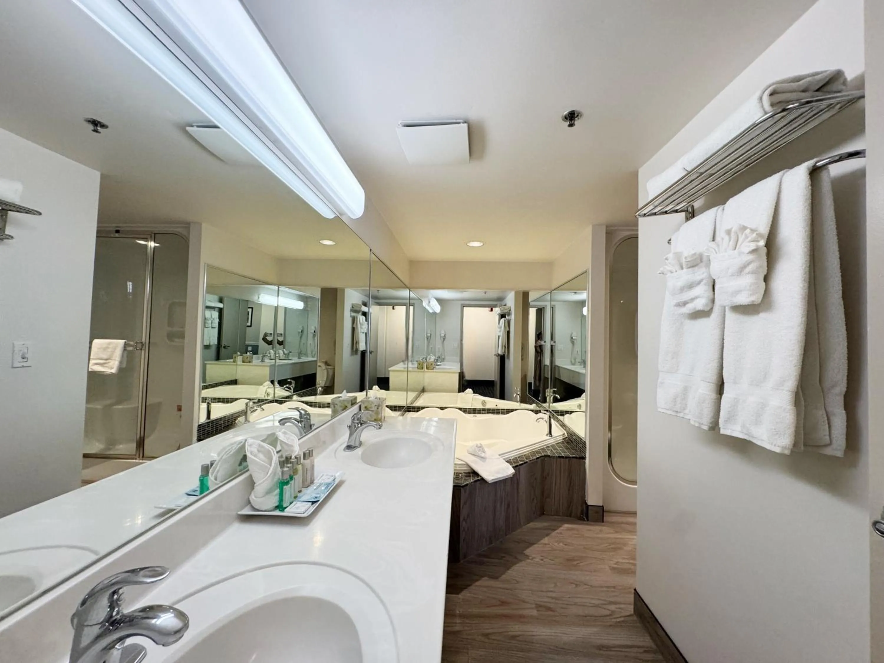 Shower in Divya Sutra Plaza and Conference Centre Calgary Airport