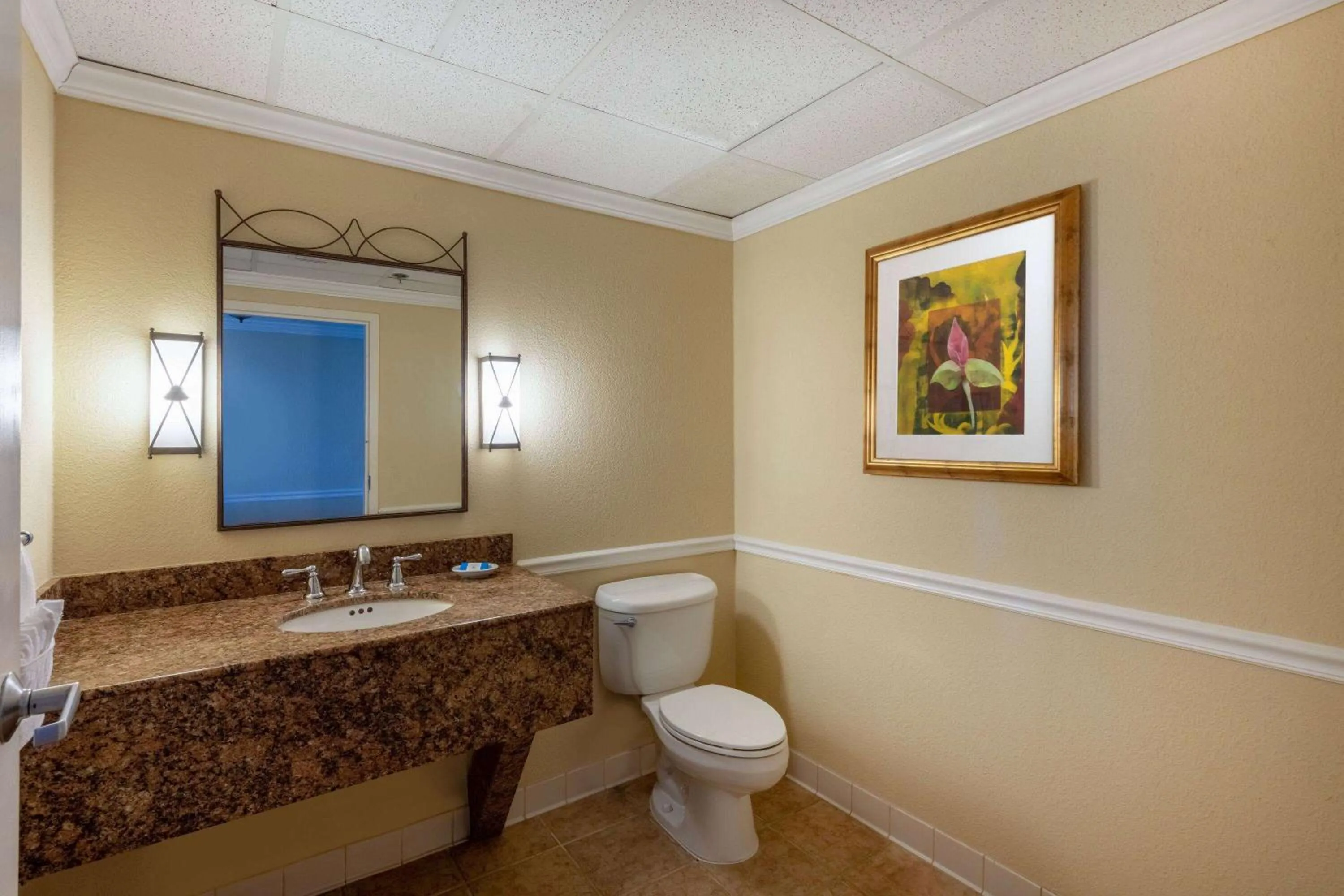 TV and multimedia in Safety Harbor Resort & Spa Trademark Collection by Wyndham