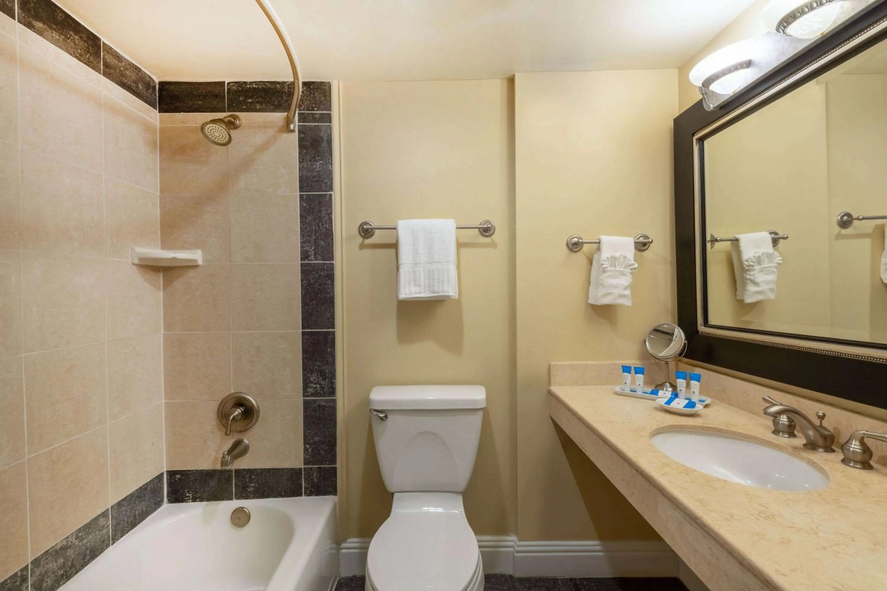 TV and multimedia in Safety Harbor Resort & Spa Trademark Collection by Wyndham