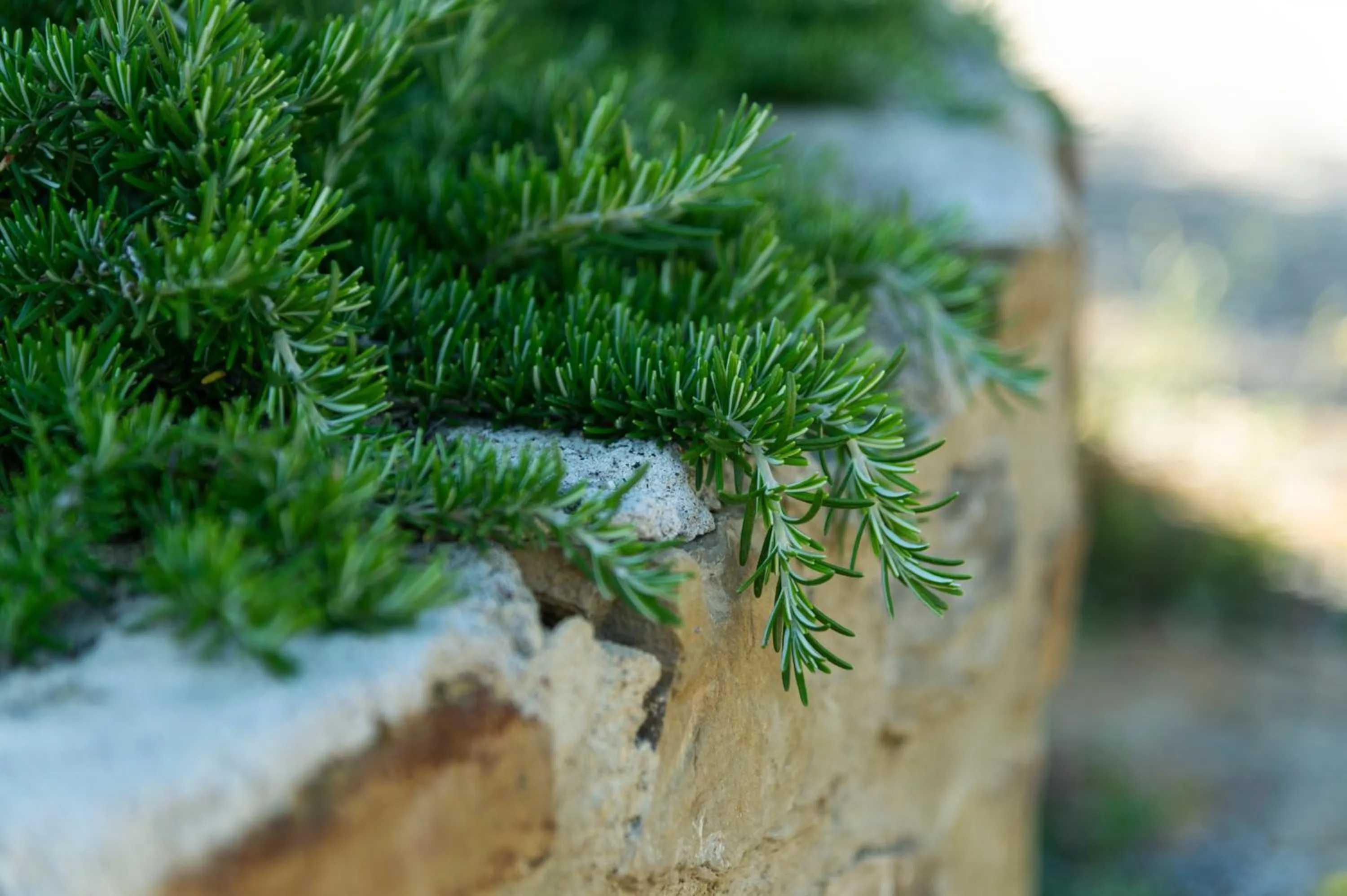 Property building in La Rimbecca Greve in Chianti