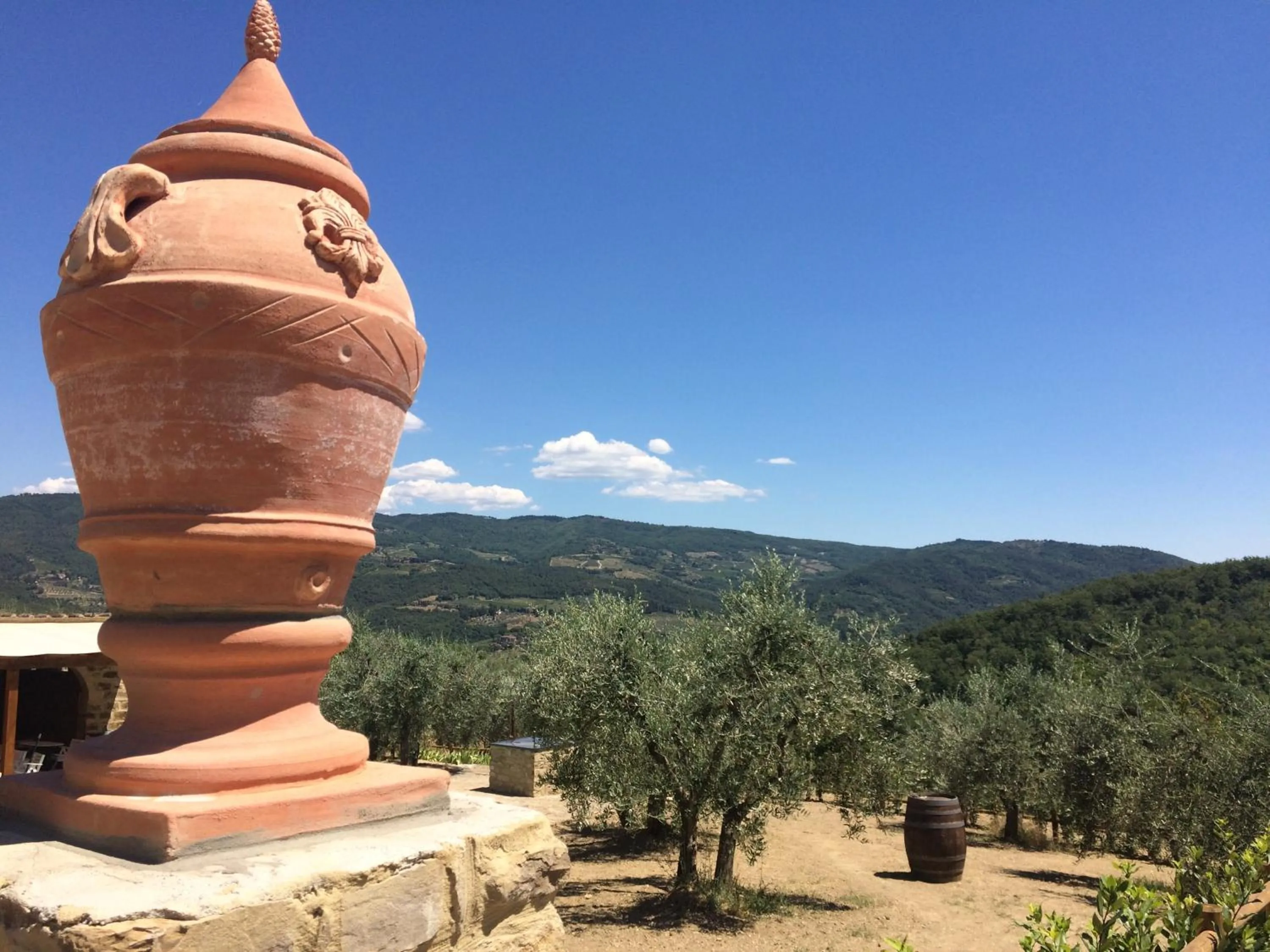 Mountain view in La Rimbecca Greve in Chianti