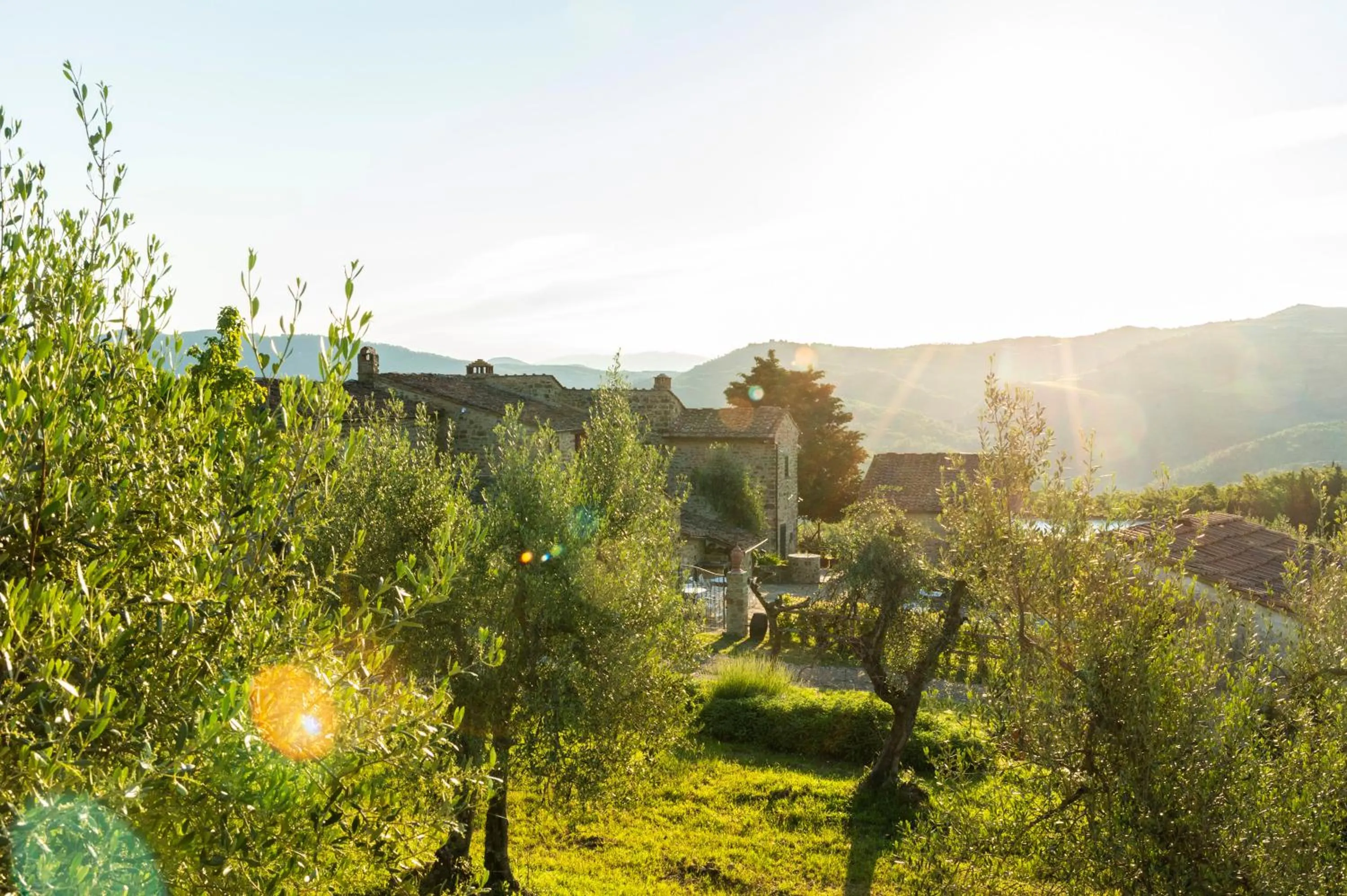 Natural landscape in La Rimbecca Greve in Chianti