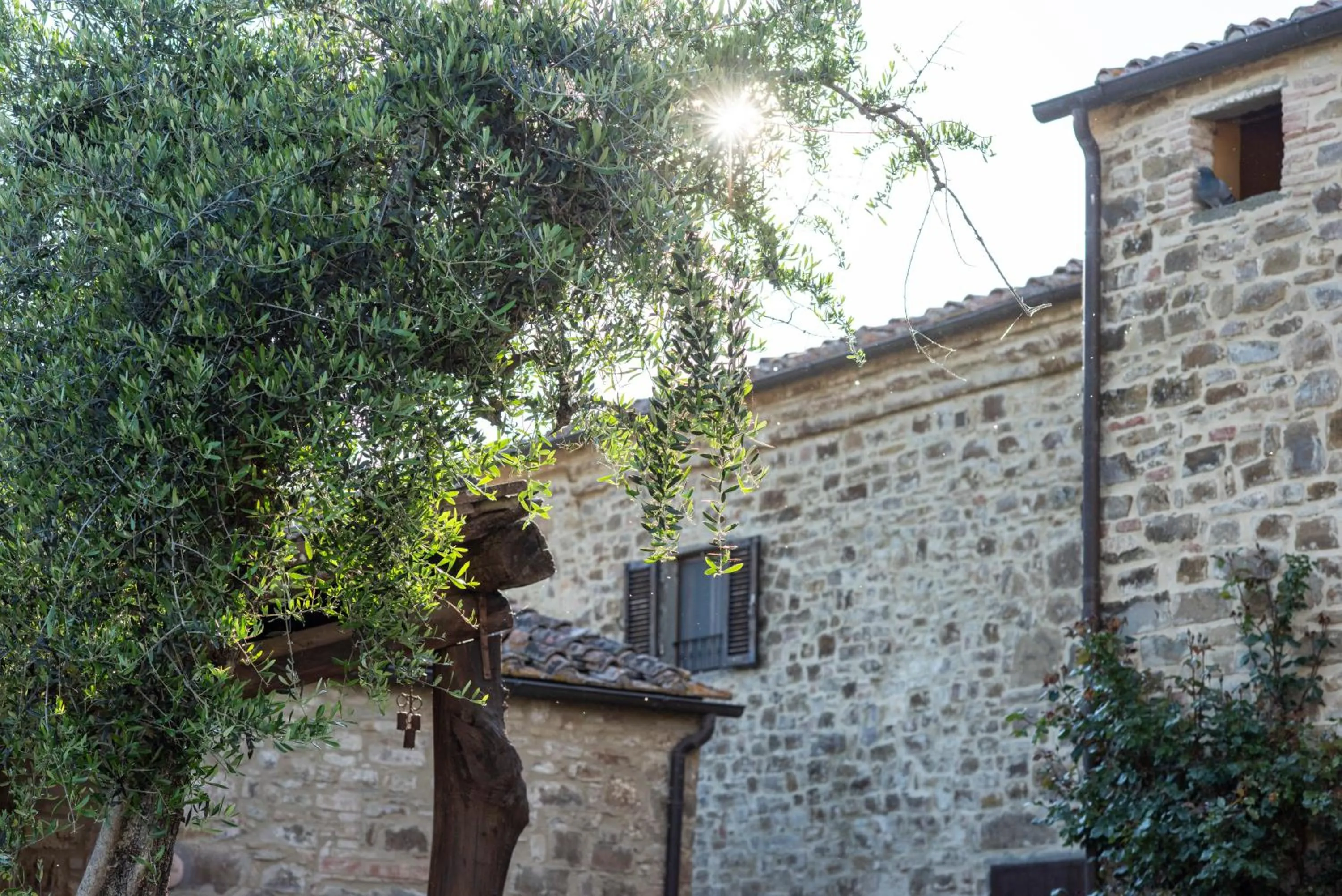 Property building in La Rimbecca Greve in Chianti