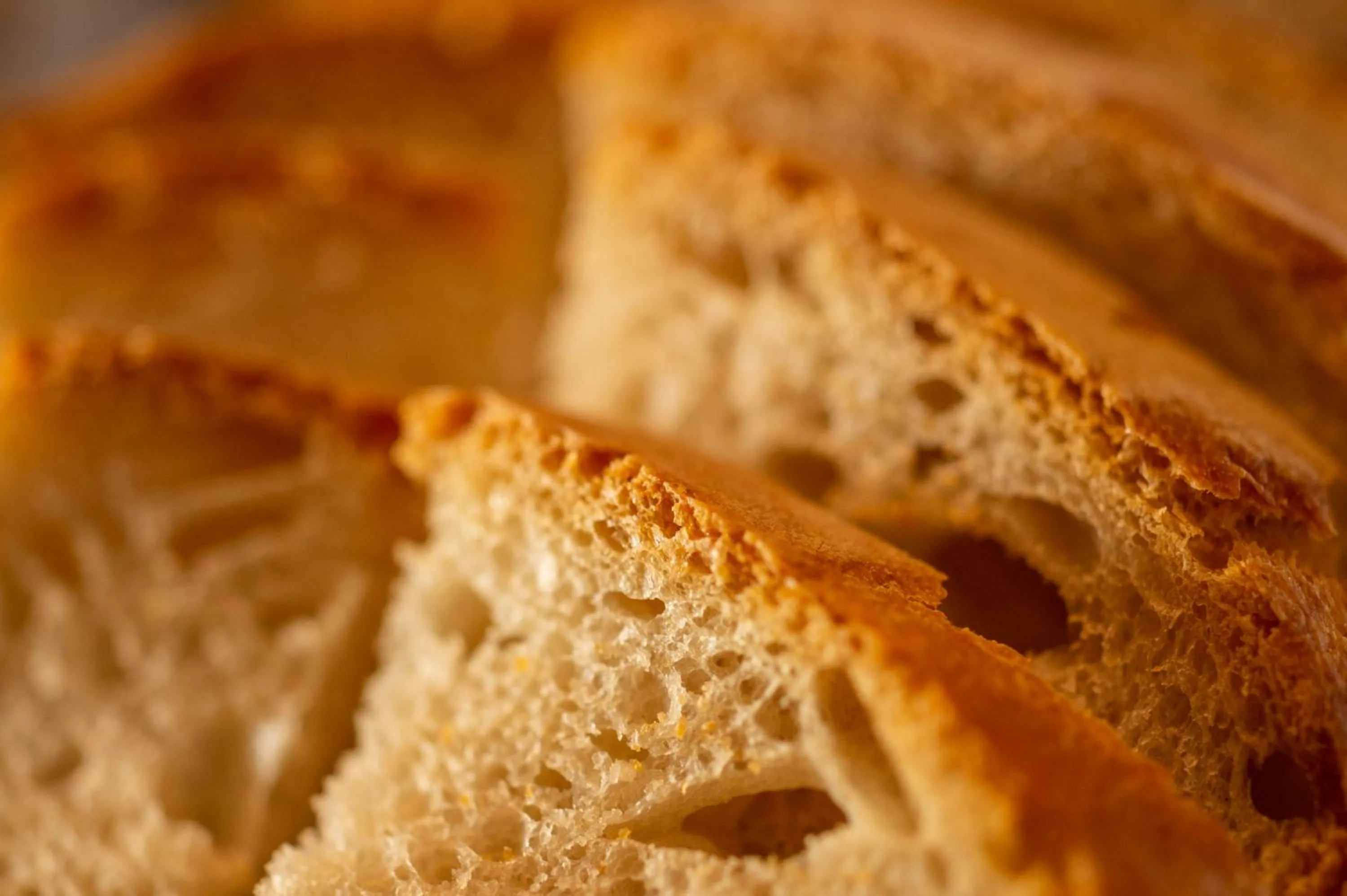 Food in La Rimbecca Greve in Chianti