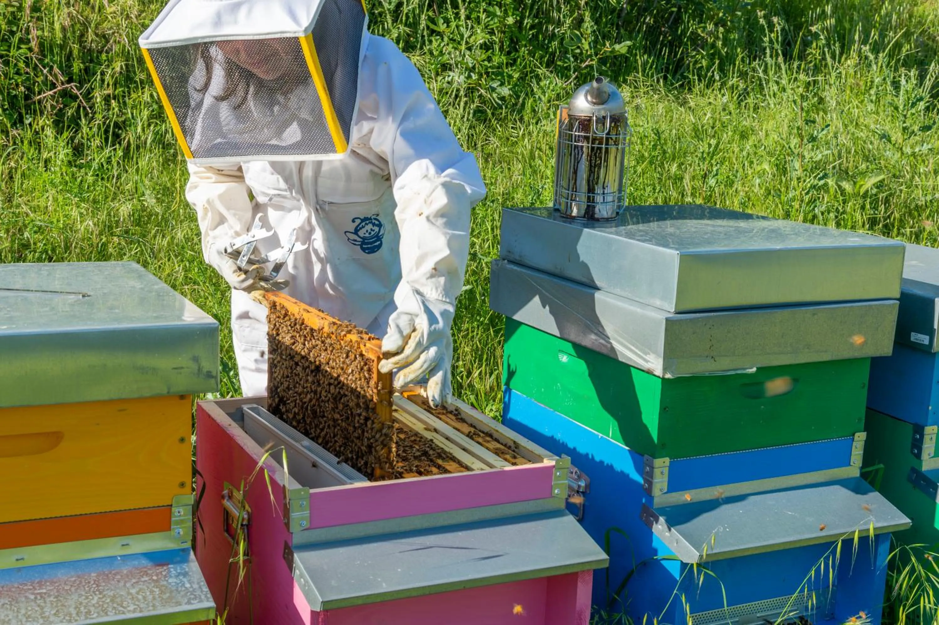 Animals in La Rimbecca Greve in Chianti