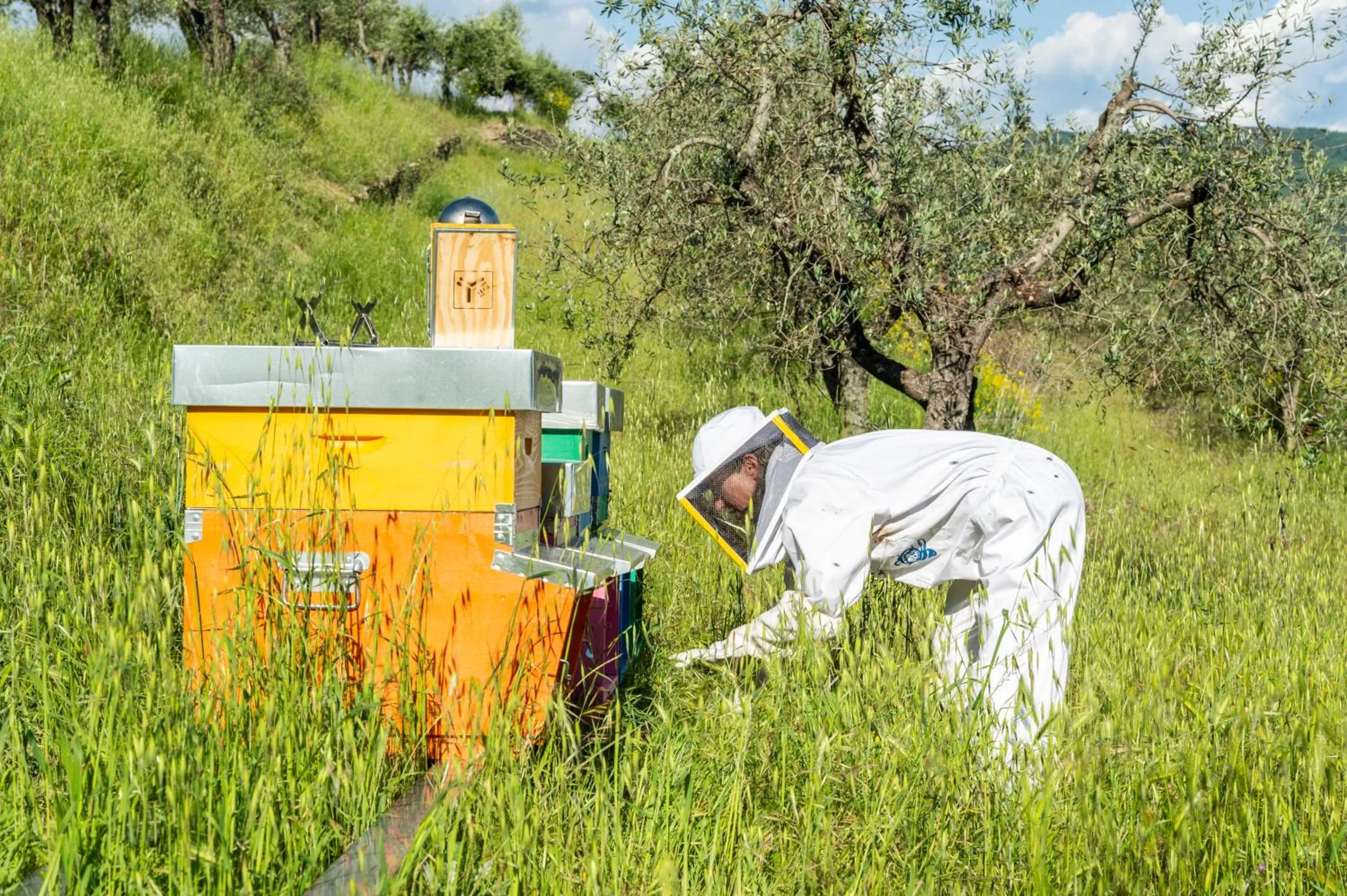 Animals in La Rimbecca Greve in Chianti