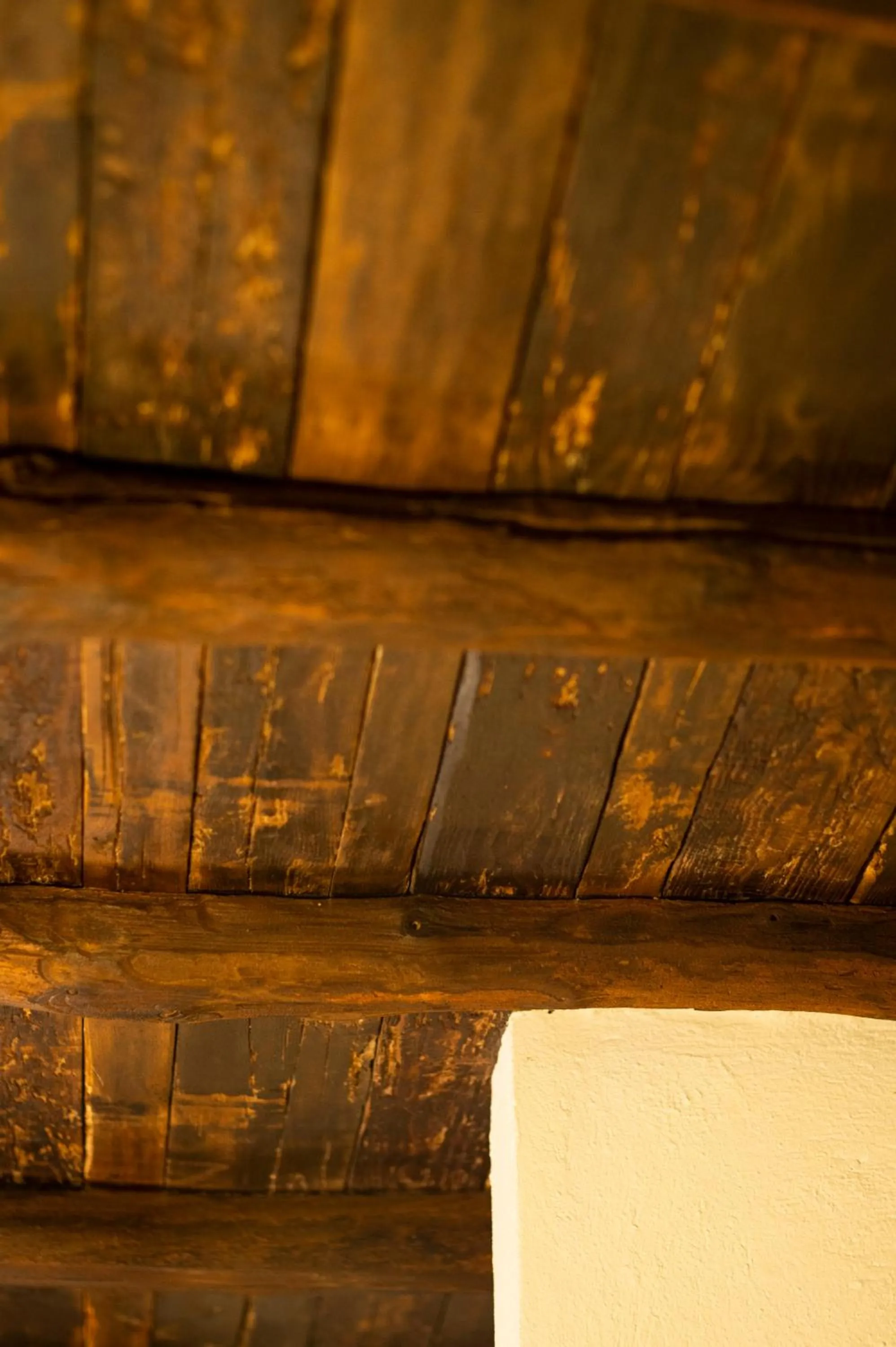 View (from property/room) in La Rimbecca Greve in Chianti