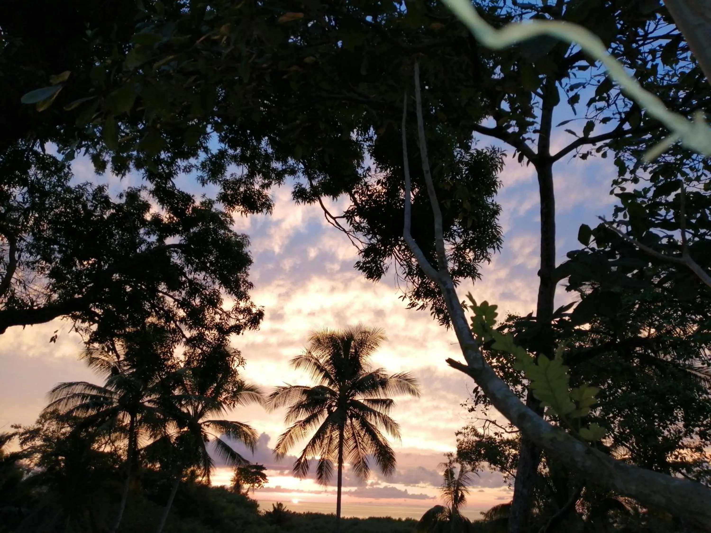 Natural landscape in Hotel Casa Gitana Corcovado Tour operador