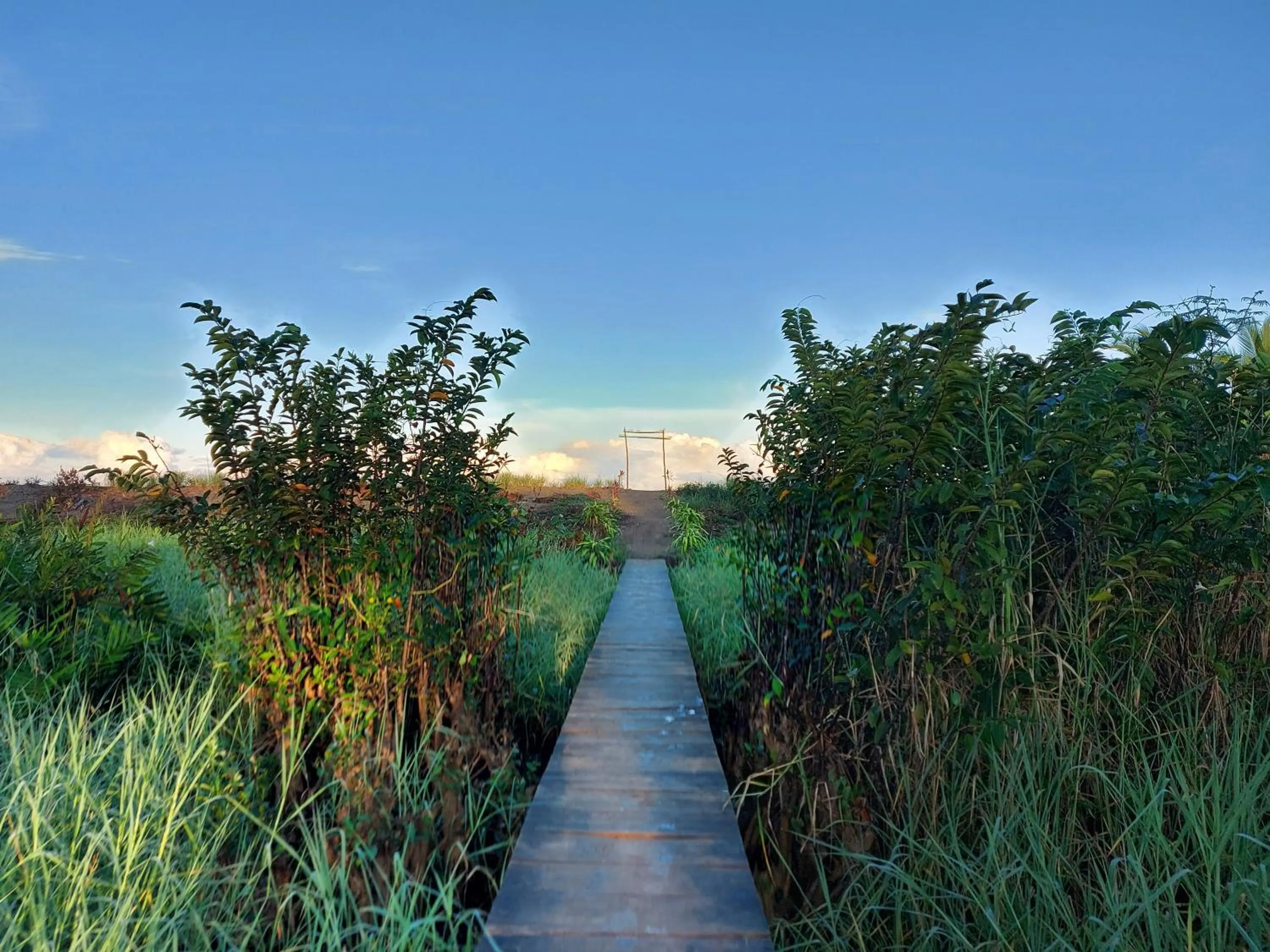 Natural landscape in Hotel Casa Gitana Corcovado Tour operador