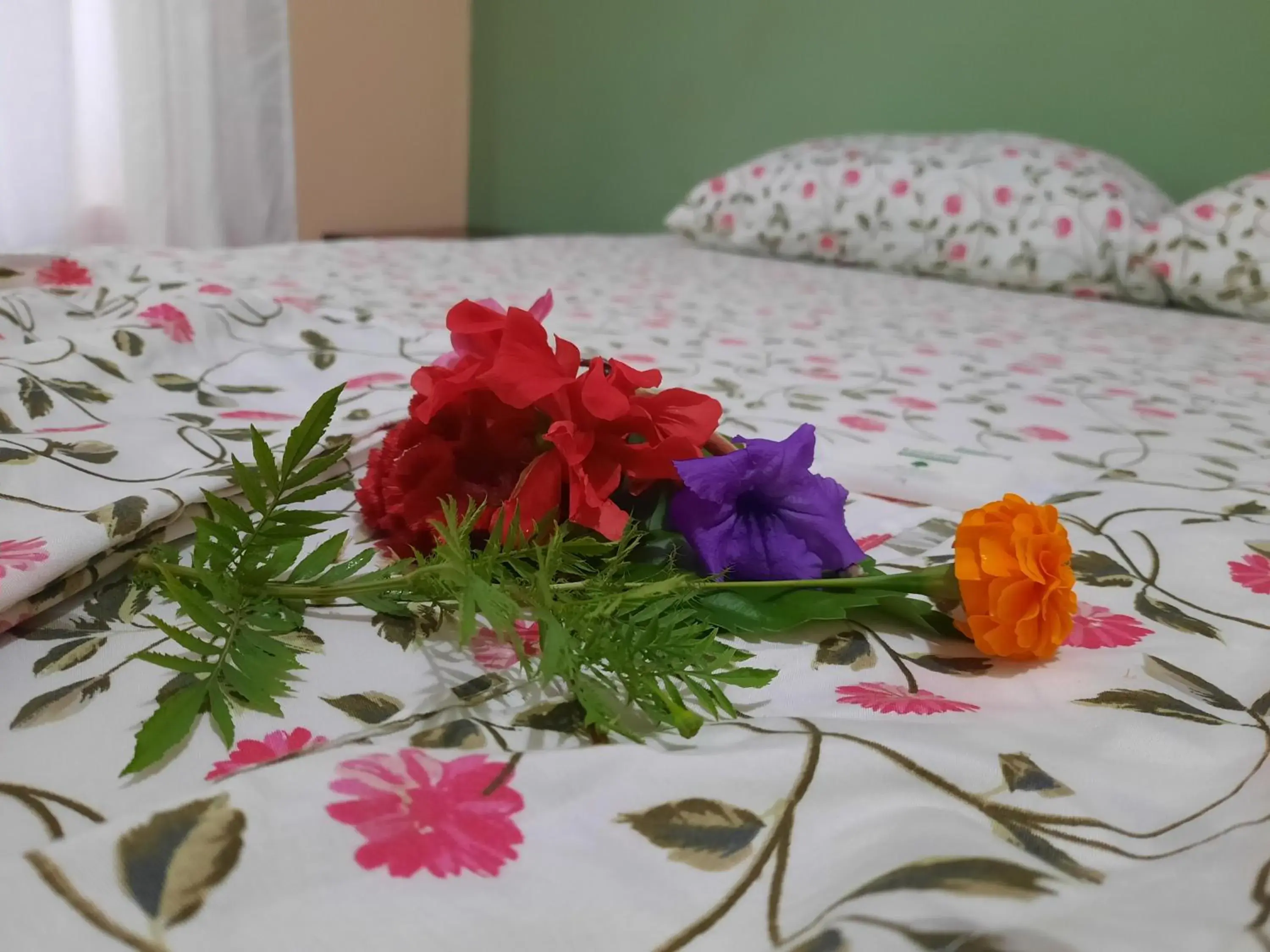 Double Room with Private Bathroom in Hotel Casa Gitana Corcovado Tour operador Double Room with Private Bathroom in Hotel Casa Gitana Corcovado Tour operador