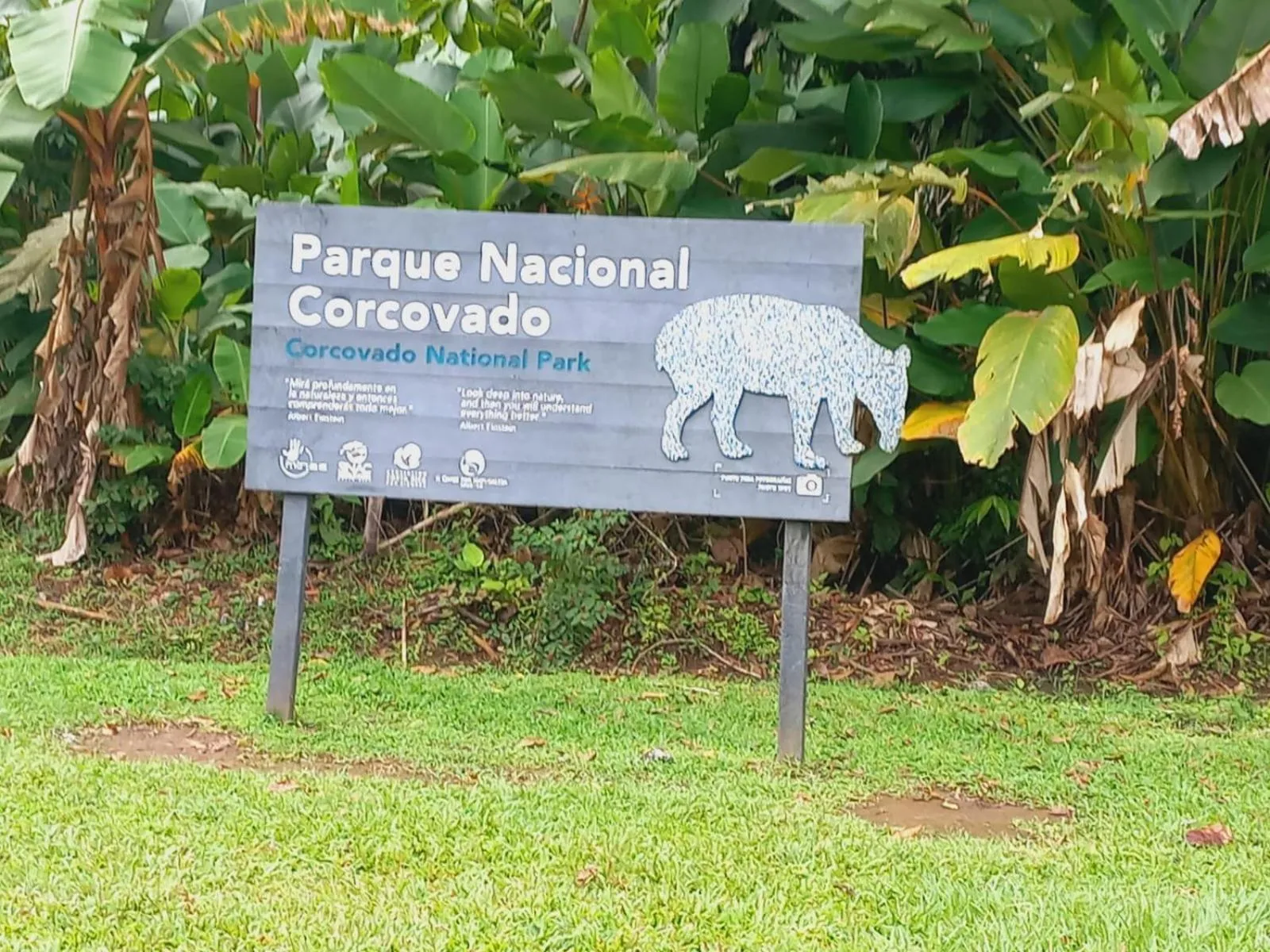 Activities in Hotel Casa Gitana Corcovado Tour operador