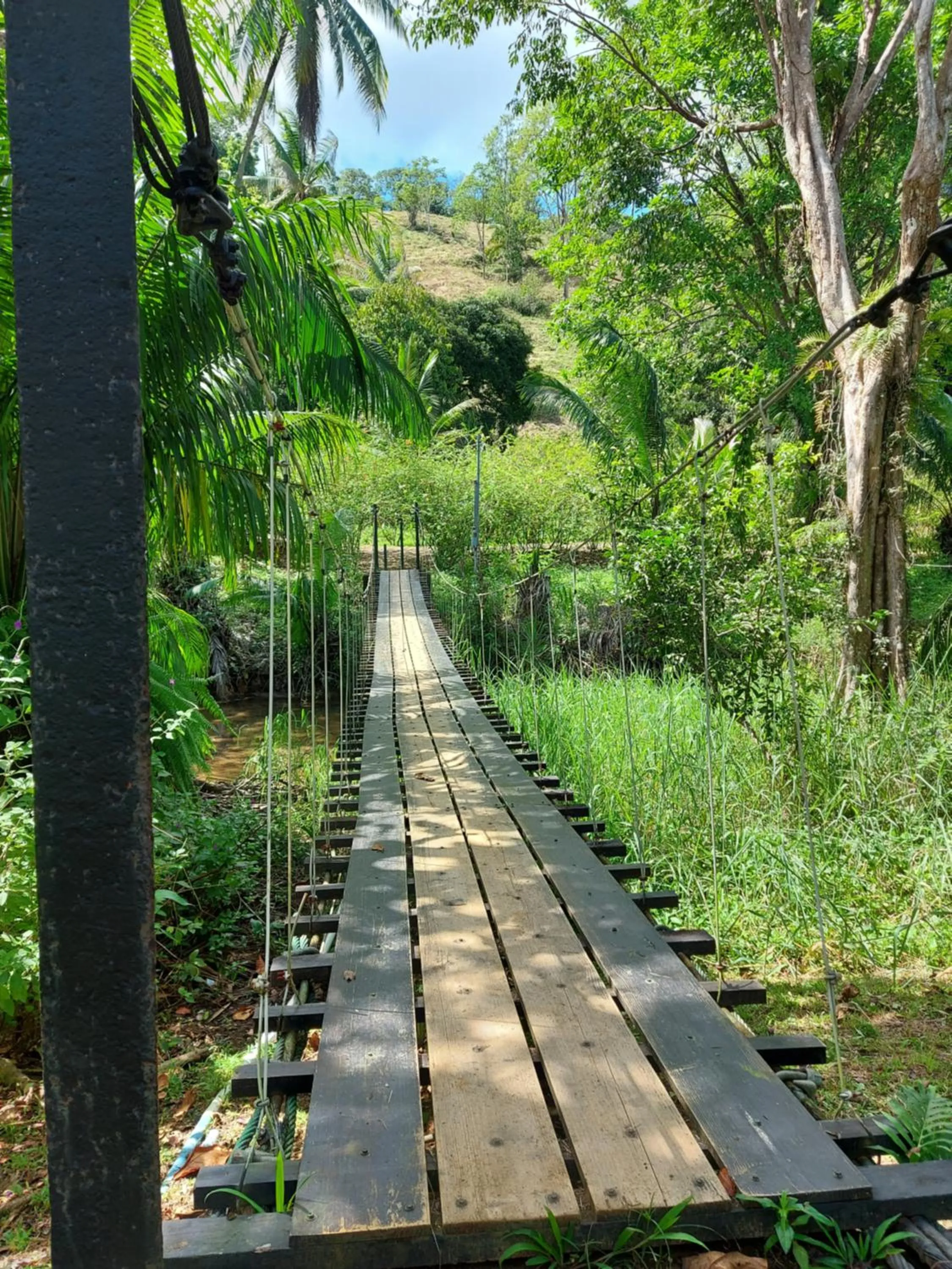 Beach in Hotel Casa Gitana Corcovado Tour operador