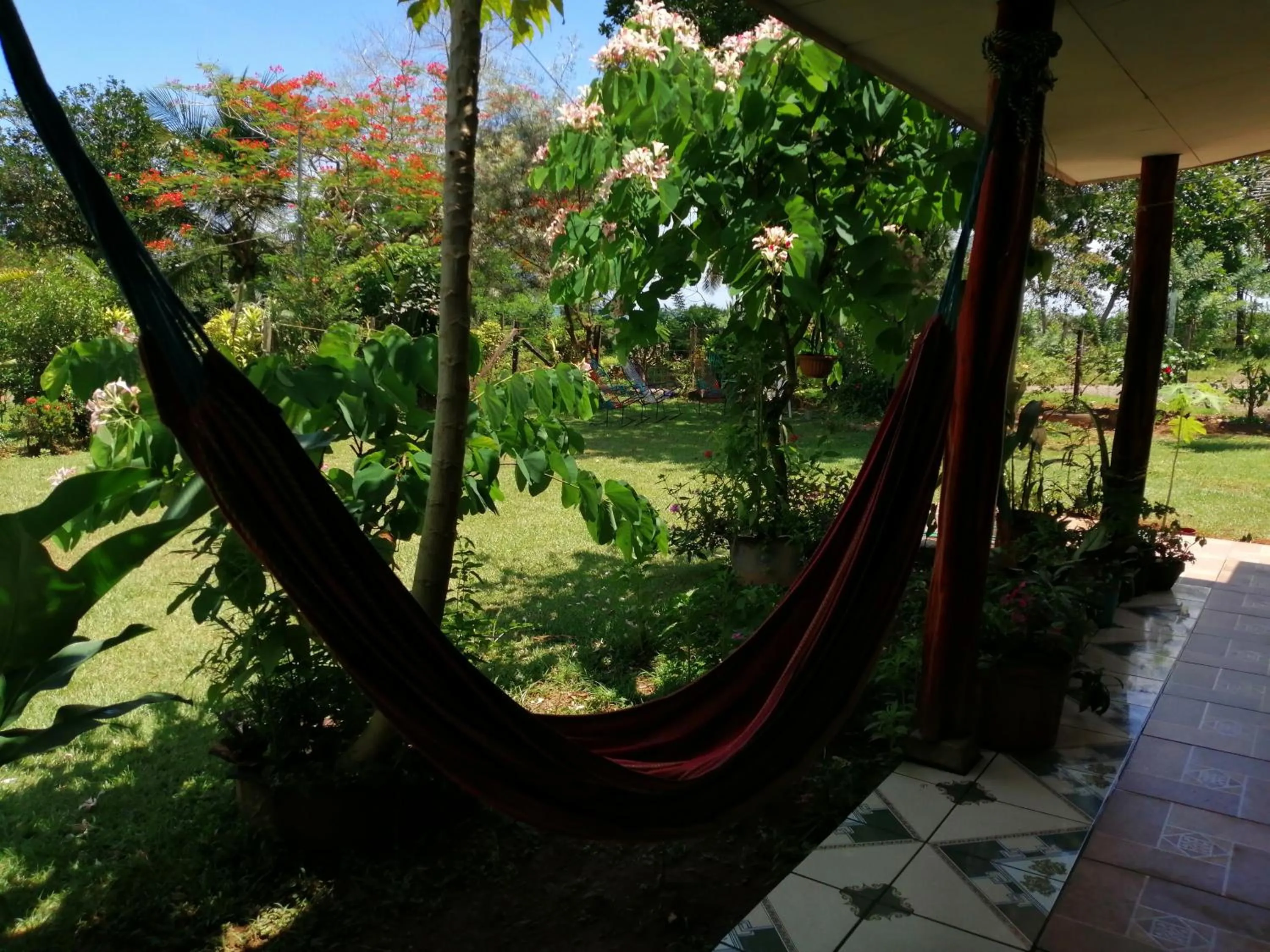 Garden in Hotel Casa Gitana Corcovado Tour operador