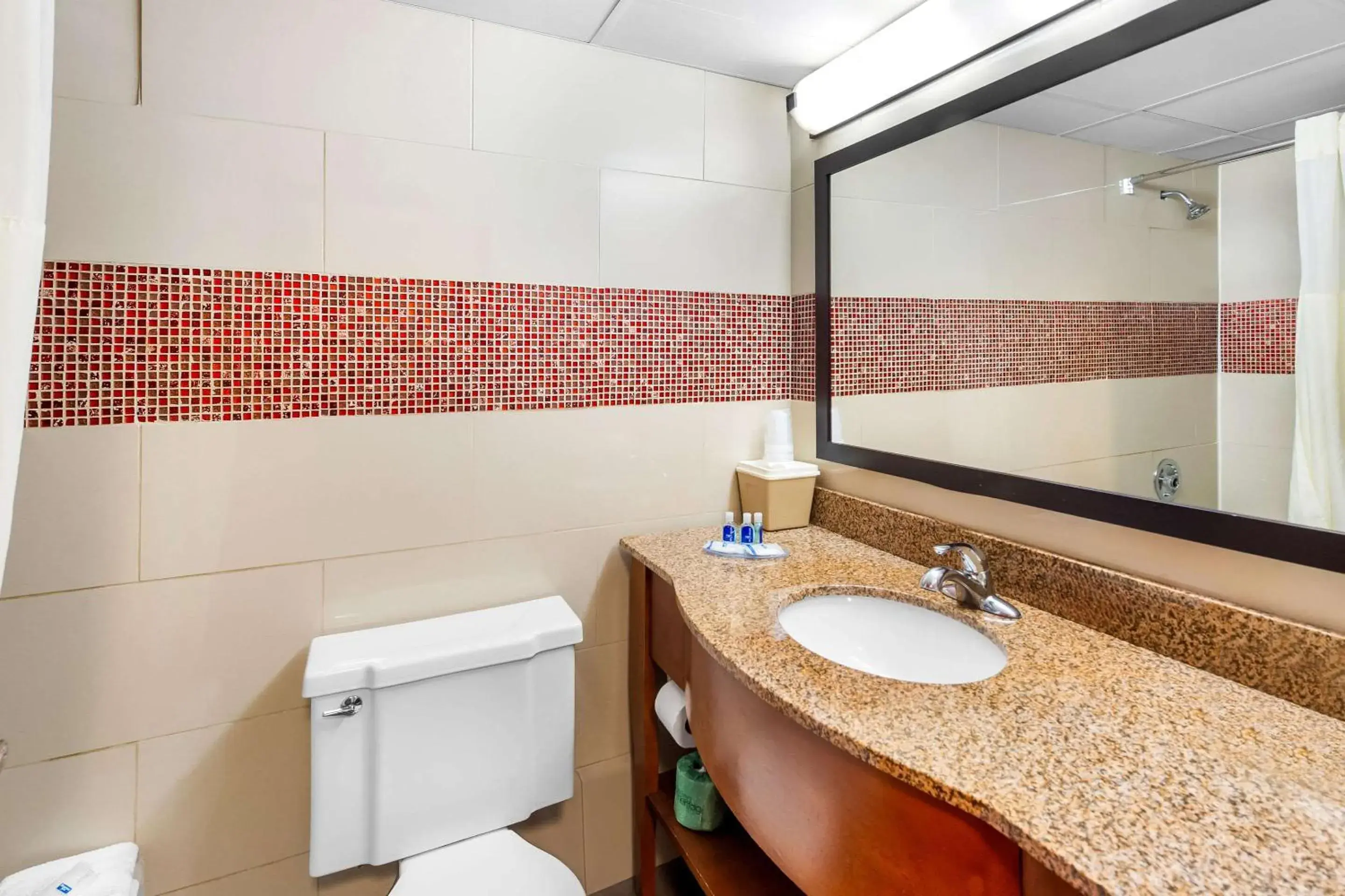 King Room - Smoking in Rodeway Inn Capri King Room - Smoking in Rodeway Inn Capri