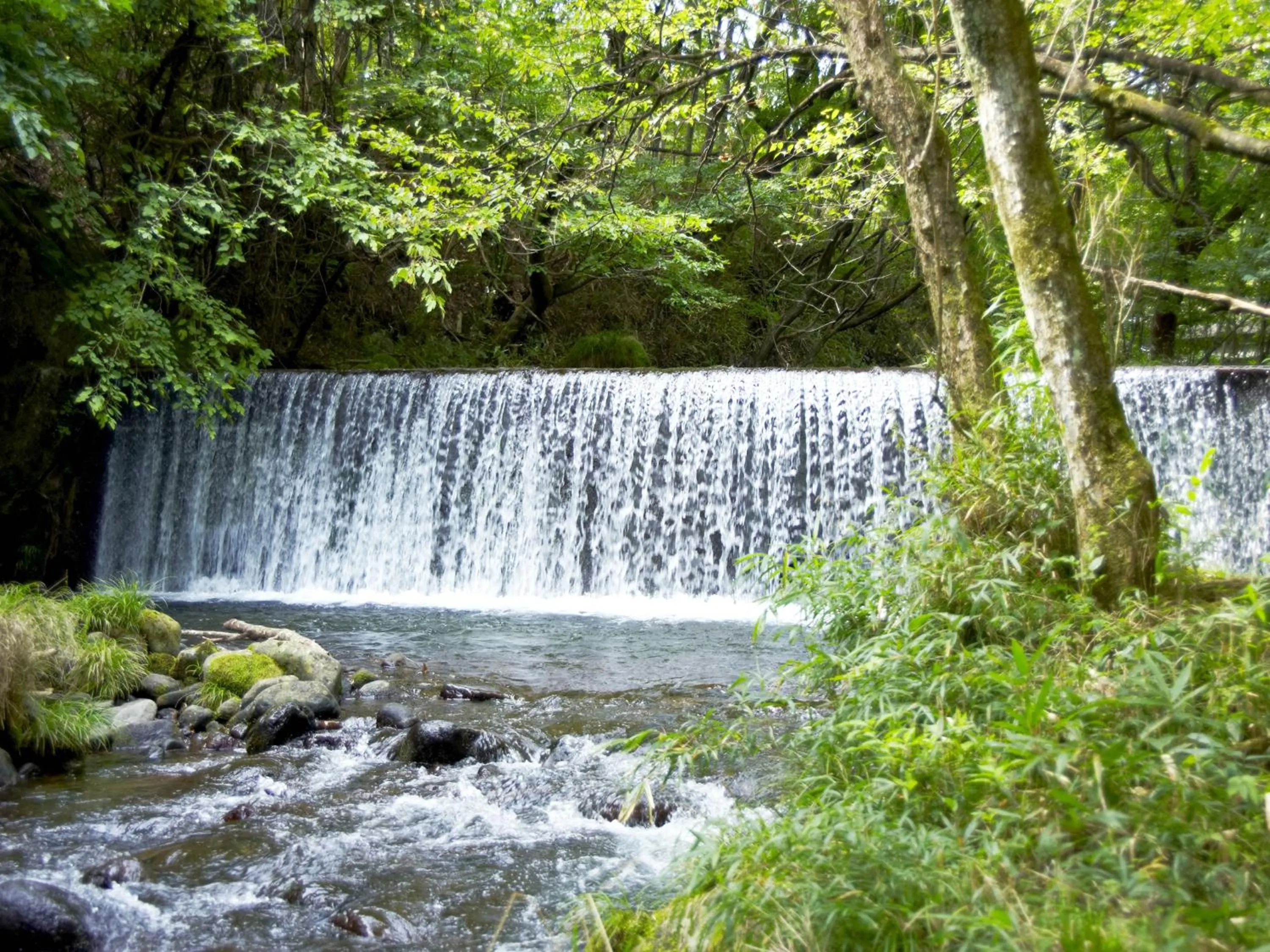 Garden in 竹泉荘 Chikusenso Onsen