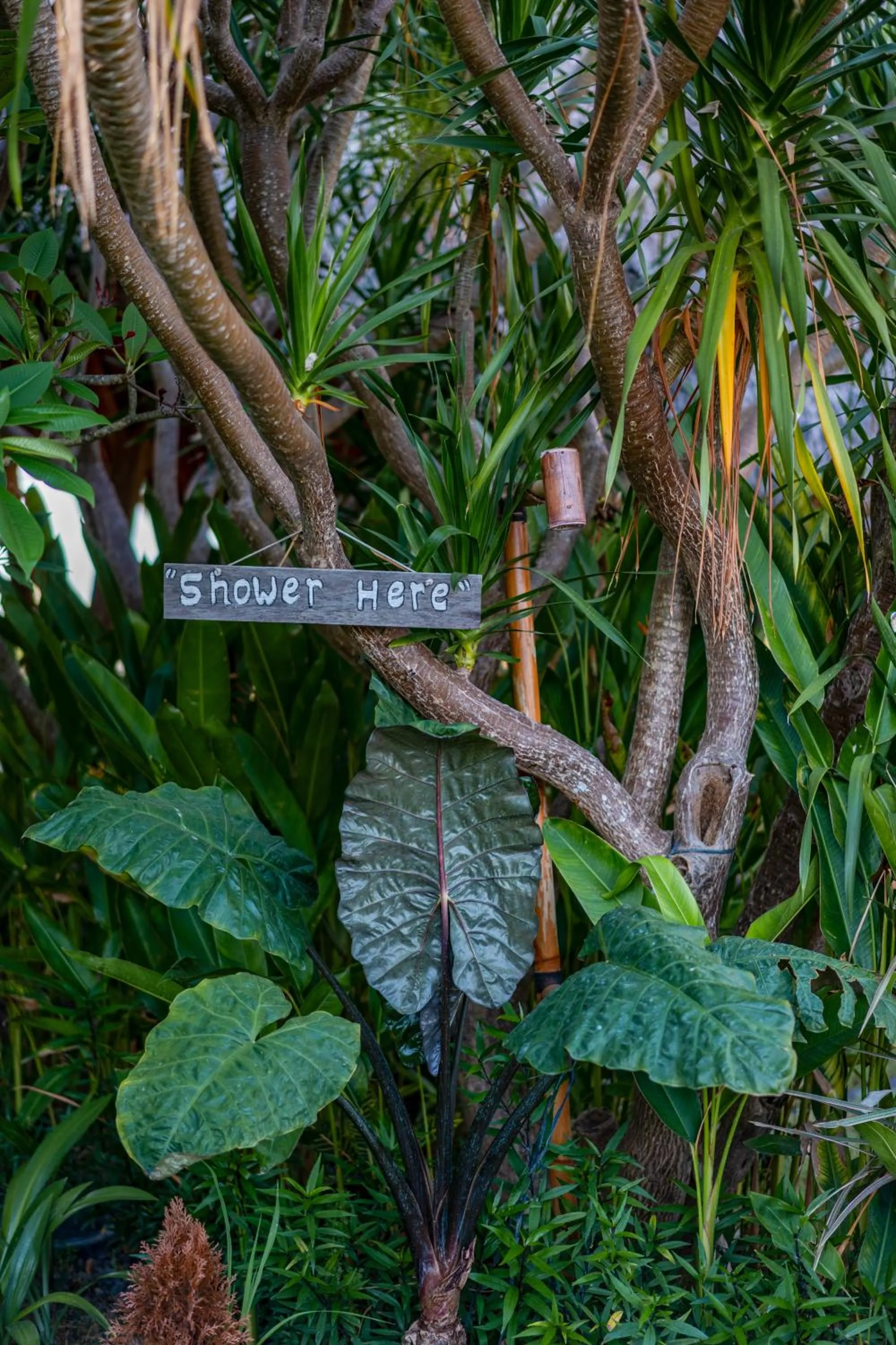 Property building in C-View Villas