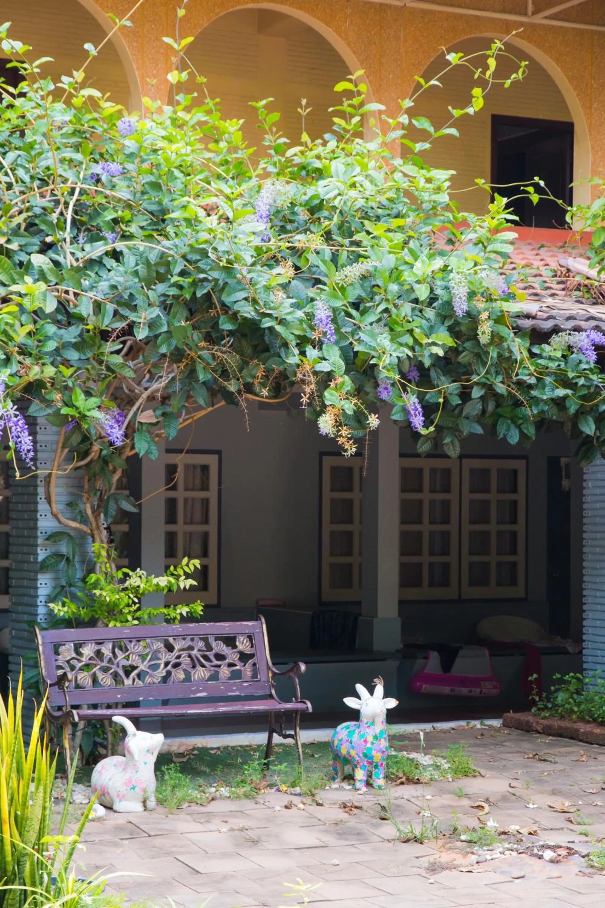 Garden in S Lodge Pattaya formally Sabai Lodge