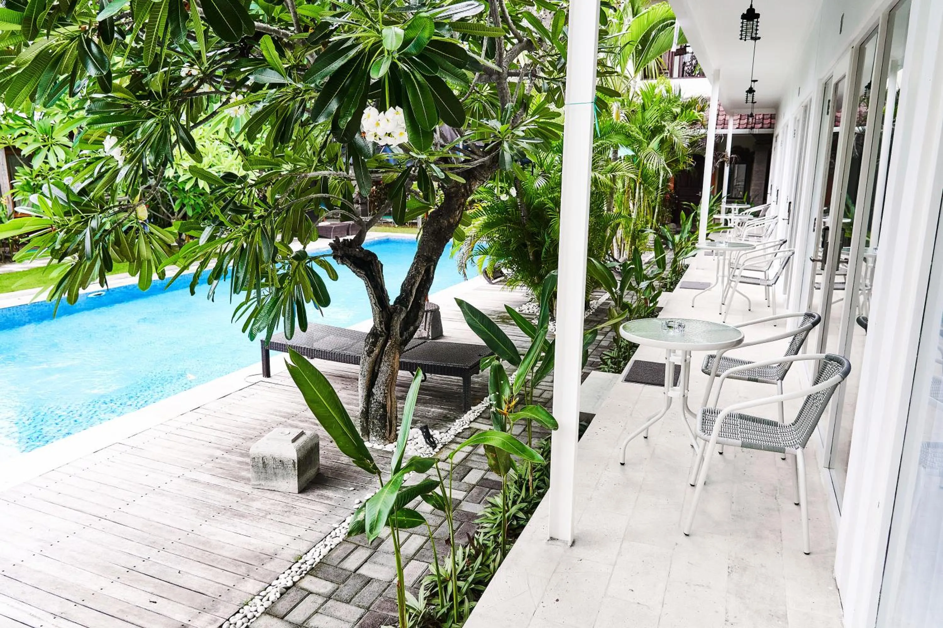 Property building in Easy Surf Camp