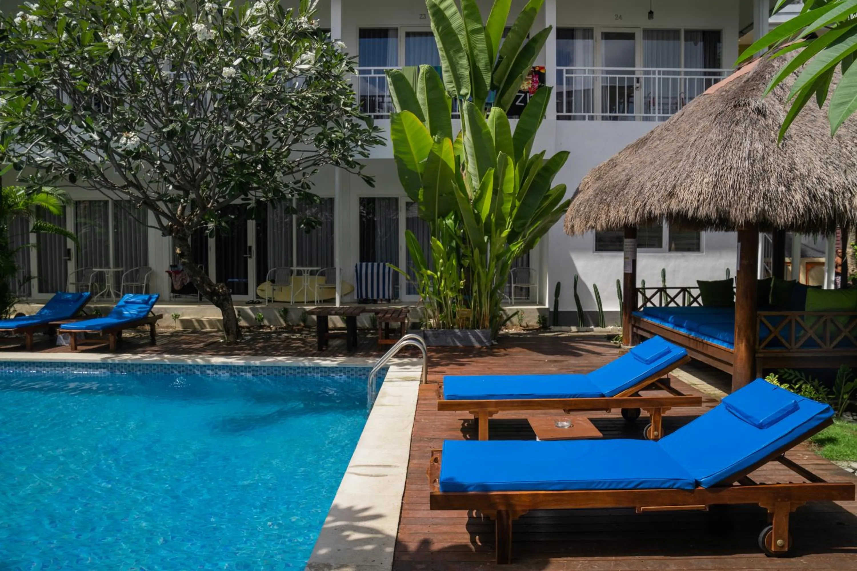 Swimming pool in Easy Surf Camp