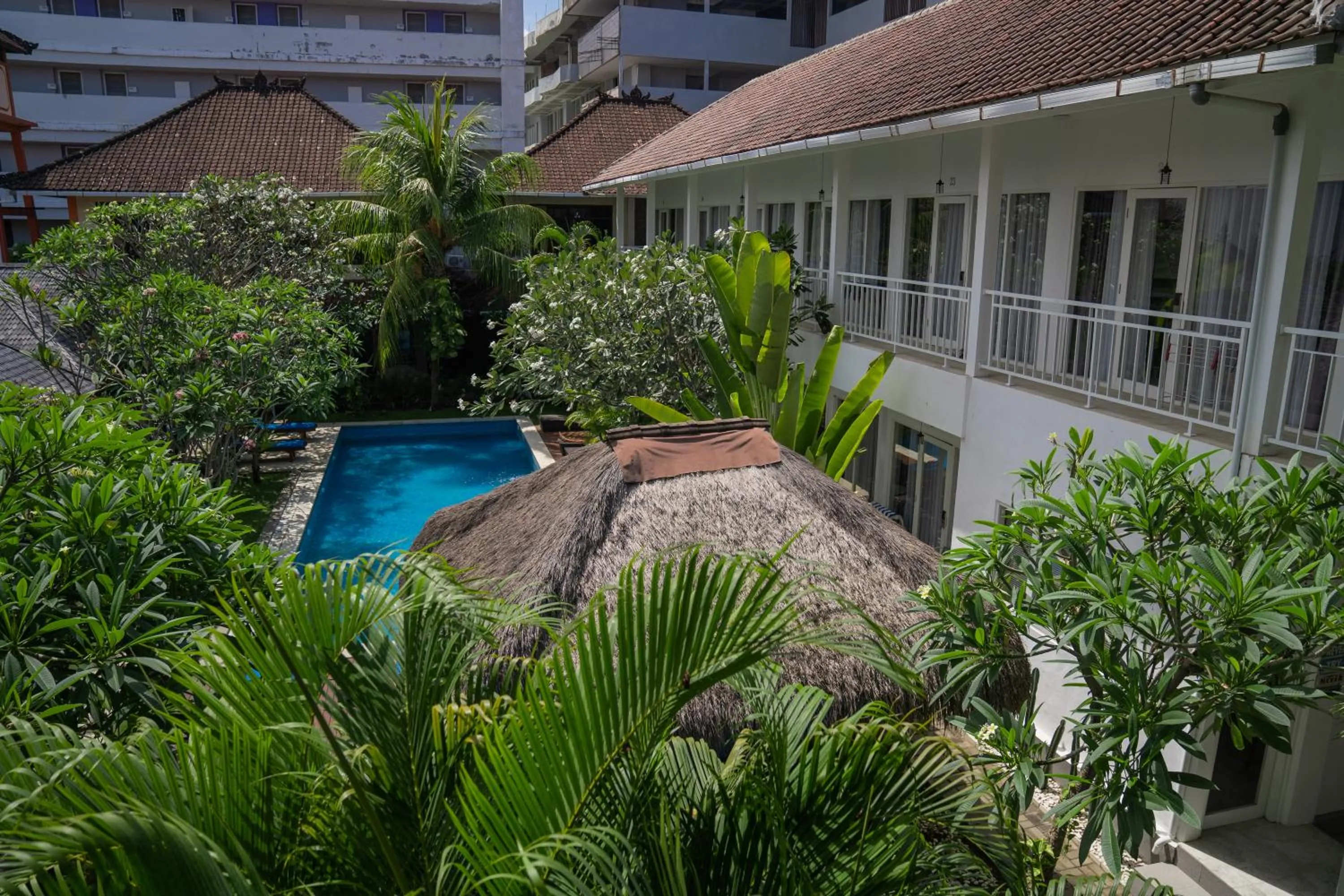 Property building in Easy Surf Camp