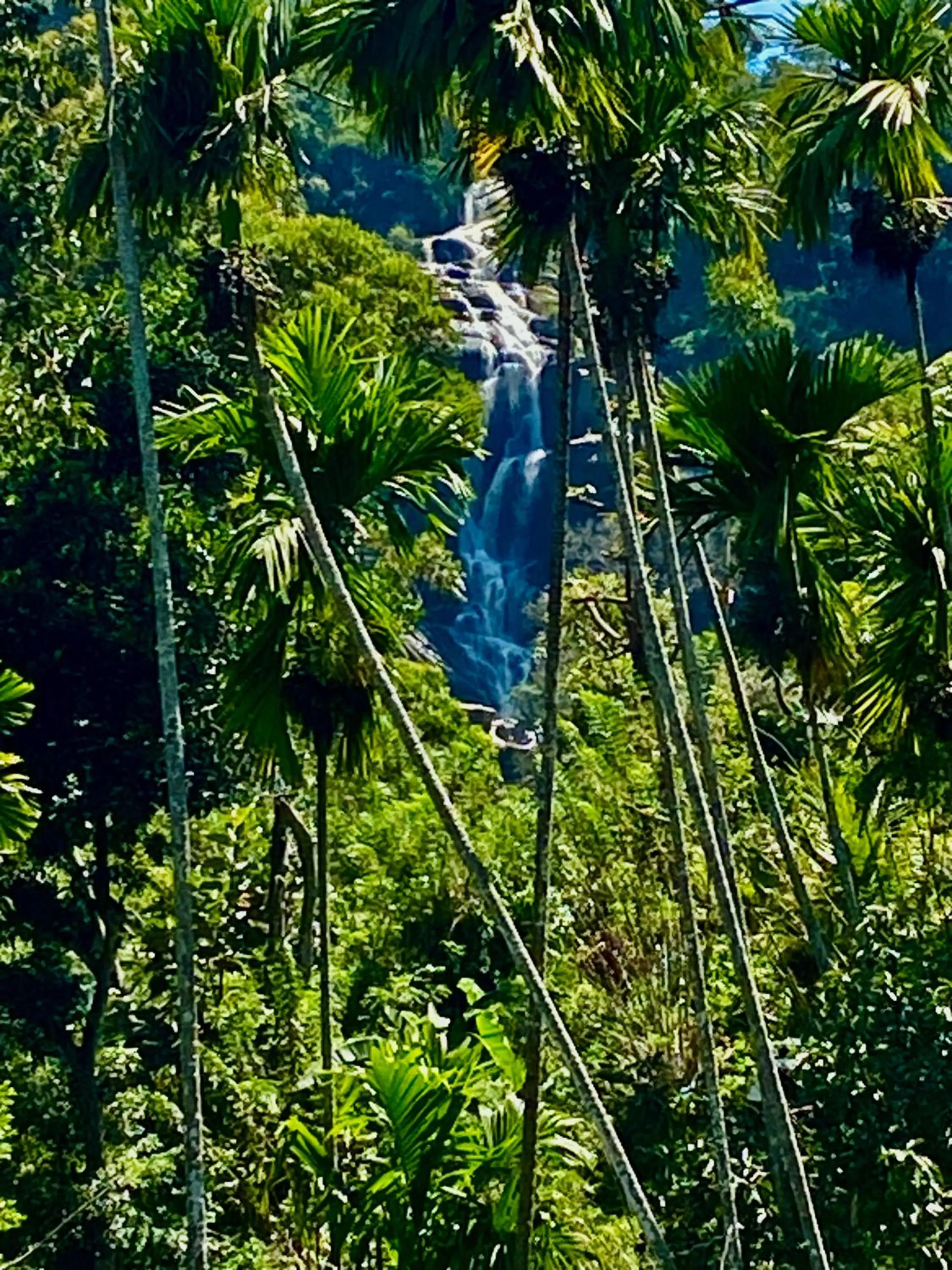 View (from property/room) in Cozy Homestay Waterfall Road Ella